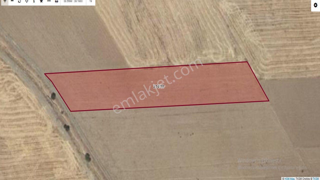 Elazığ Merkez Tadım Köyünde Resmi Yolu Olan Satlık 5795m2 Uygun Tarla - Görsel 11