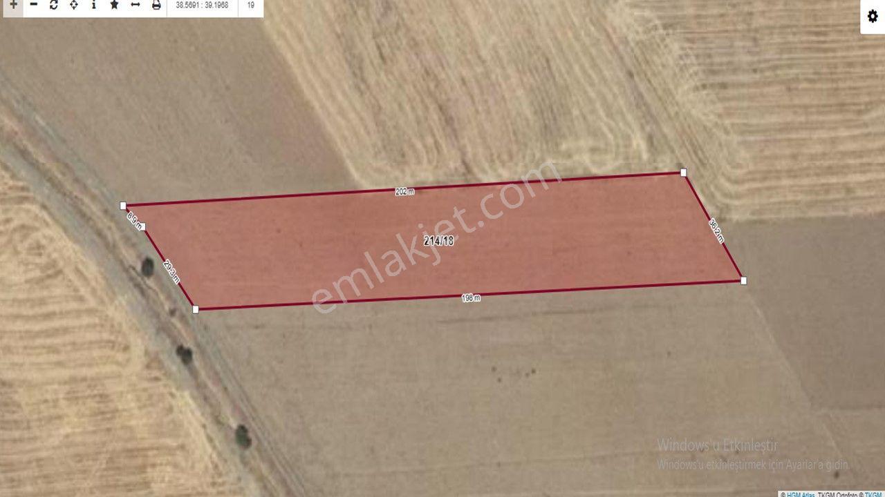 Elazığ Merkez Tadım Köyünde Resmi Yolu Olan Satlık 5795m2 Uygun Tarla - Görsel 6