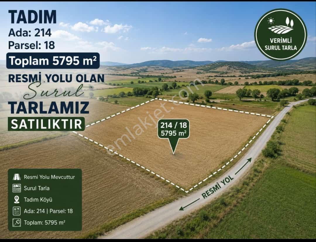 Elazığ Merkez Tadım Köyünde Resmi Yolu Olan Satlık 5795m2 Uygun Tarla