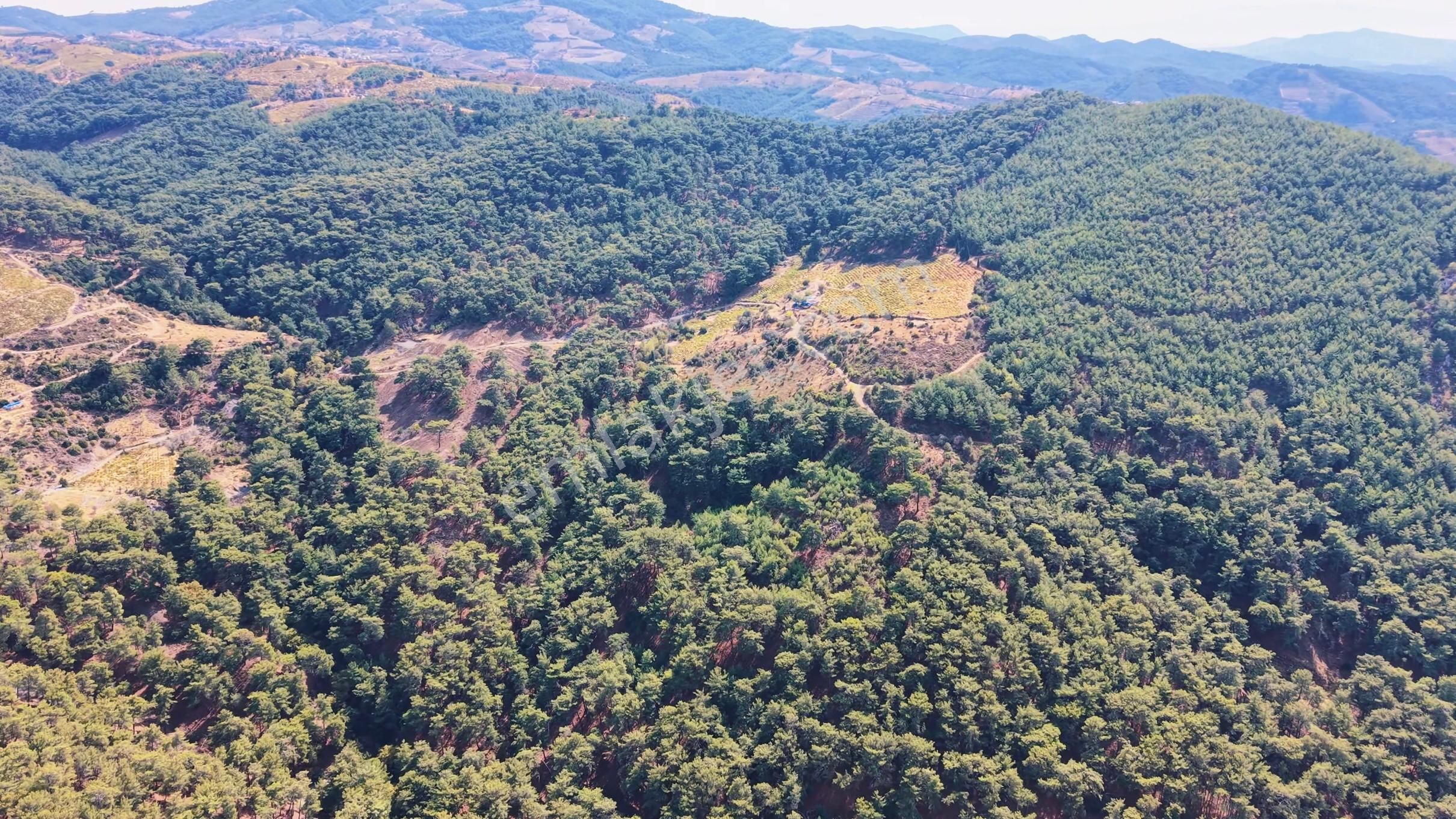 Güzelbahçe Payamlı Köyünde’ Köy İçi İmarlı Arsa - Görsel 15