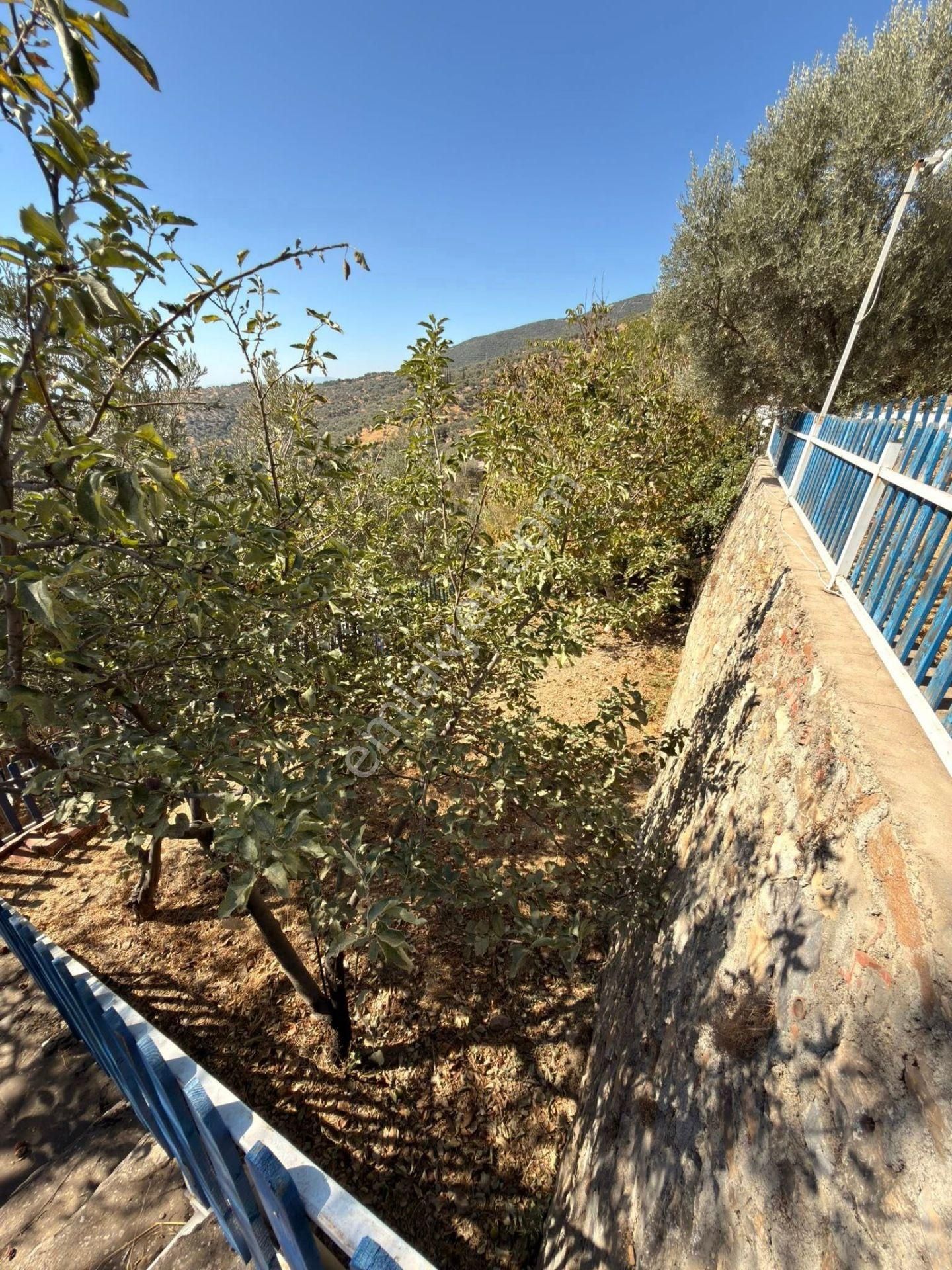 Aydın Sultanhisar – Kavaklı Köyü’nde 533 M² Avlulu Kâgir Ev & Ahır – Turizm İşletmeciliğine Uygun - Görsel 17