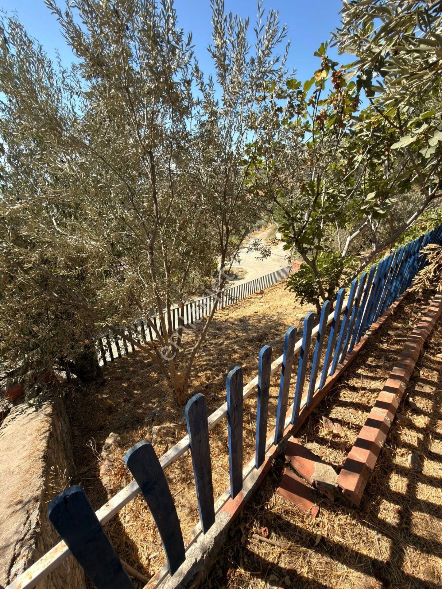 Aydın Sultanhisar – Kavaklı Köyü’nde 533 M² Avlulu Kâgir Ev & Ahır – Turizm İşletmeciliğine Uygun - Görsel 16