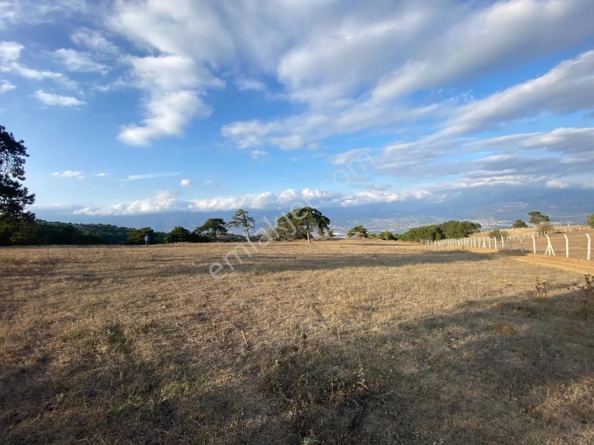 Geyve Demirlerde Muhteşem Manzaralı 7054m2 Tarla - Görsel 4