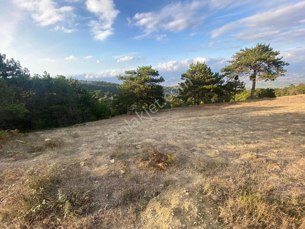 Geyve Demirlerde Muhteşem Manzaralı 7054m2 Tarla - Görsel 2