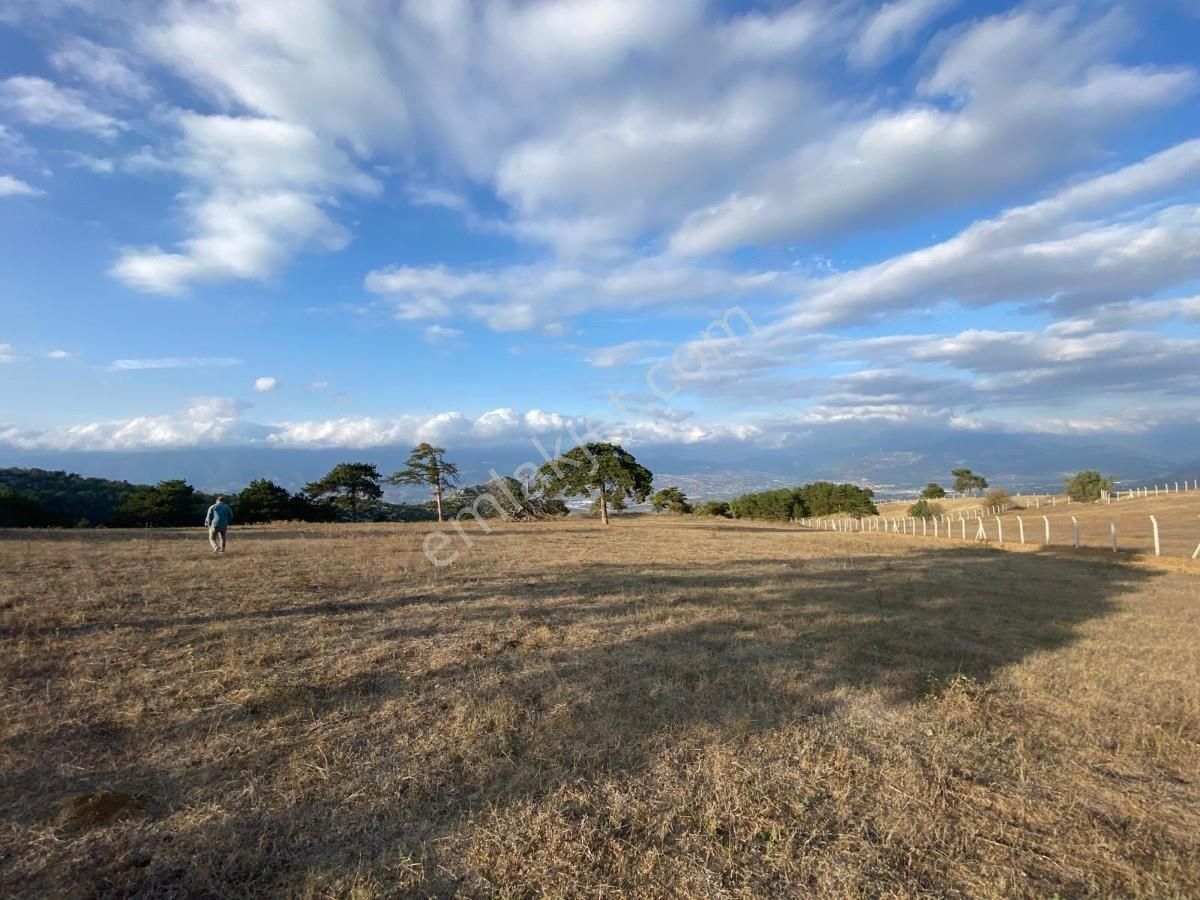 Geyve Demirlerde Muhteşem Manzaralı 7054m2 Tarla - Görsel 16