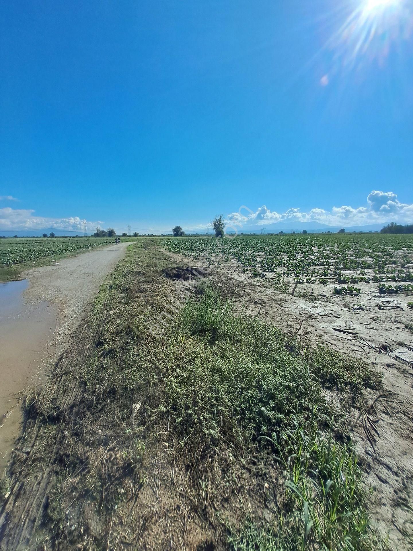 Bayındır Çırpı Ovasında 12.900 M2 Tarla Satılıktır. - Görsel 7