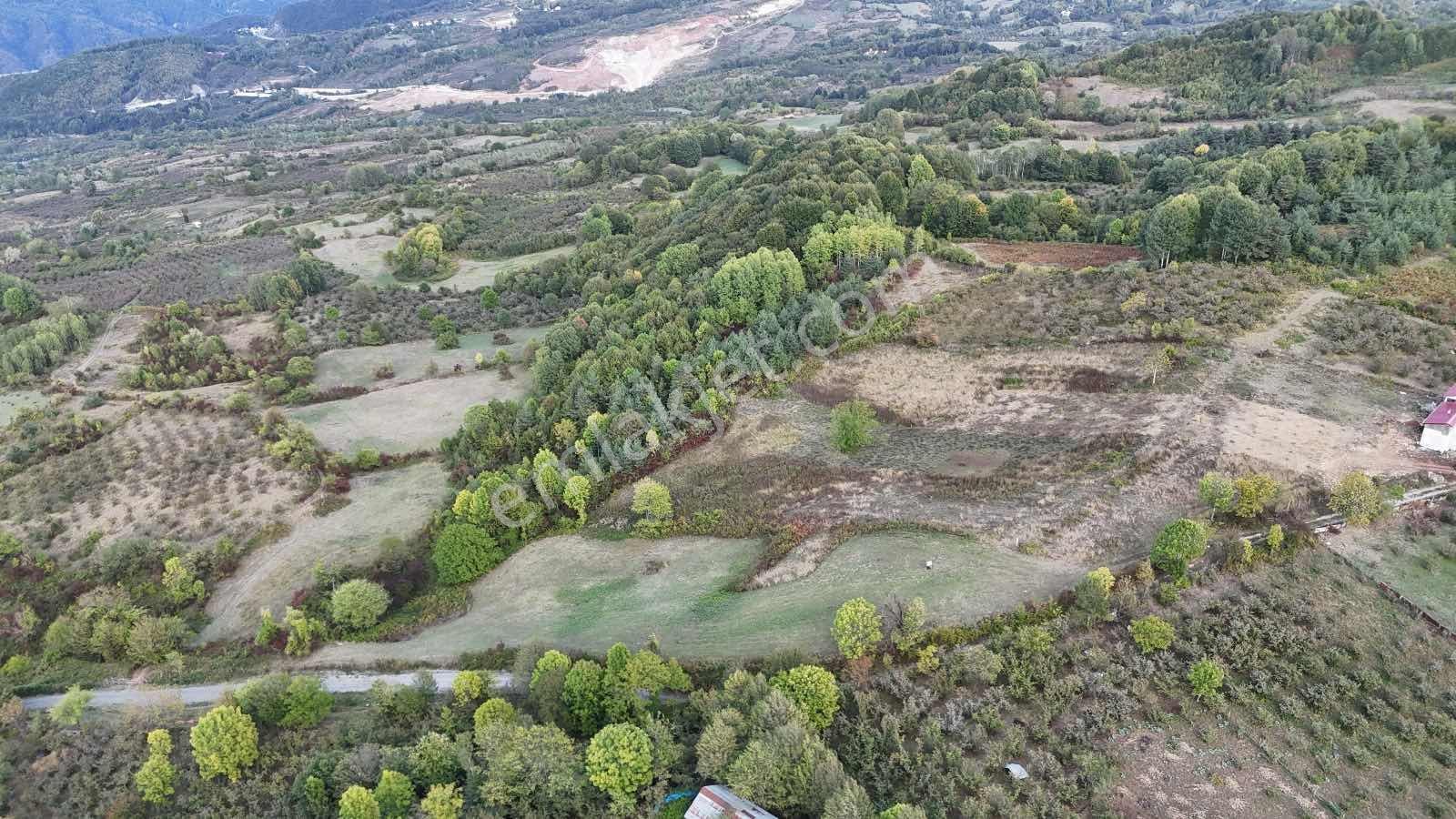 Ruşen Aydın Gyd'dan Kaynaşlı Muratbey'de Satılık Kupon Arazi - Görsel 19