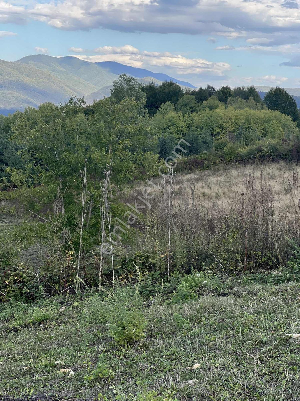 Ruşen Aydın Gyd'dan Kaynaşlı Muratbey'de Satılık Kupon Arazi - Görsel 22