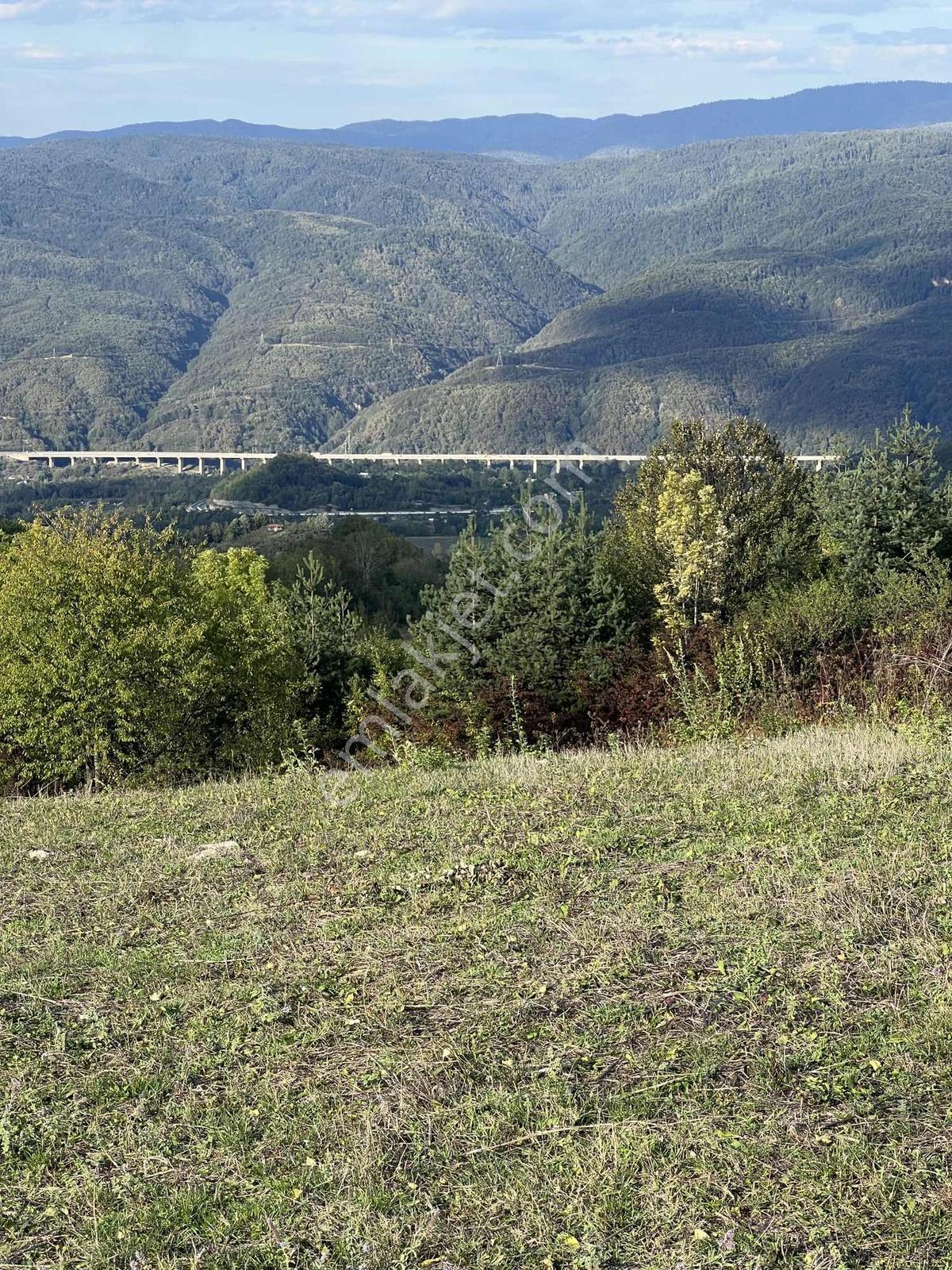 Ruşen Aydın Gyd'dan Kaynaşlı Muratbey'de Satılık Kupon Arazi - Görsel 24