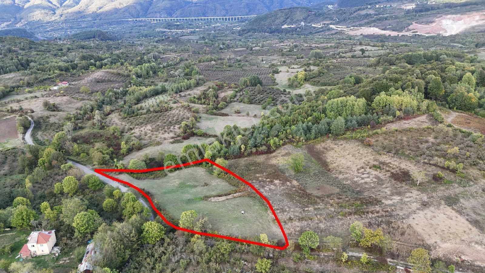 Ruşen Aydın Gyd'dan Kaynaşlı Muratbey'de Satılık Kupon Arazi - Görsel 2