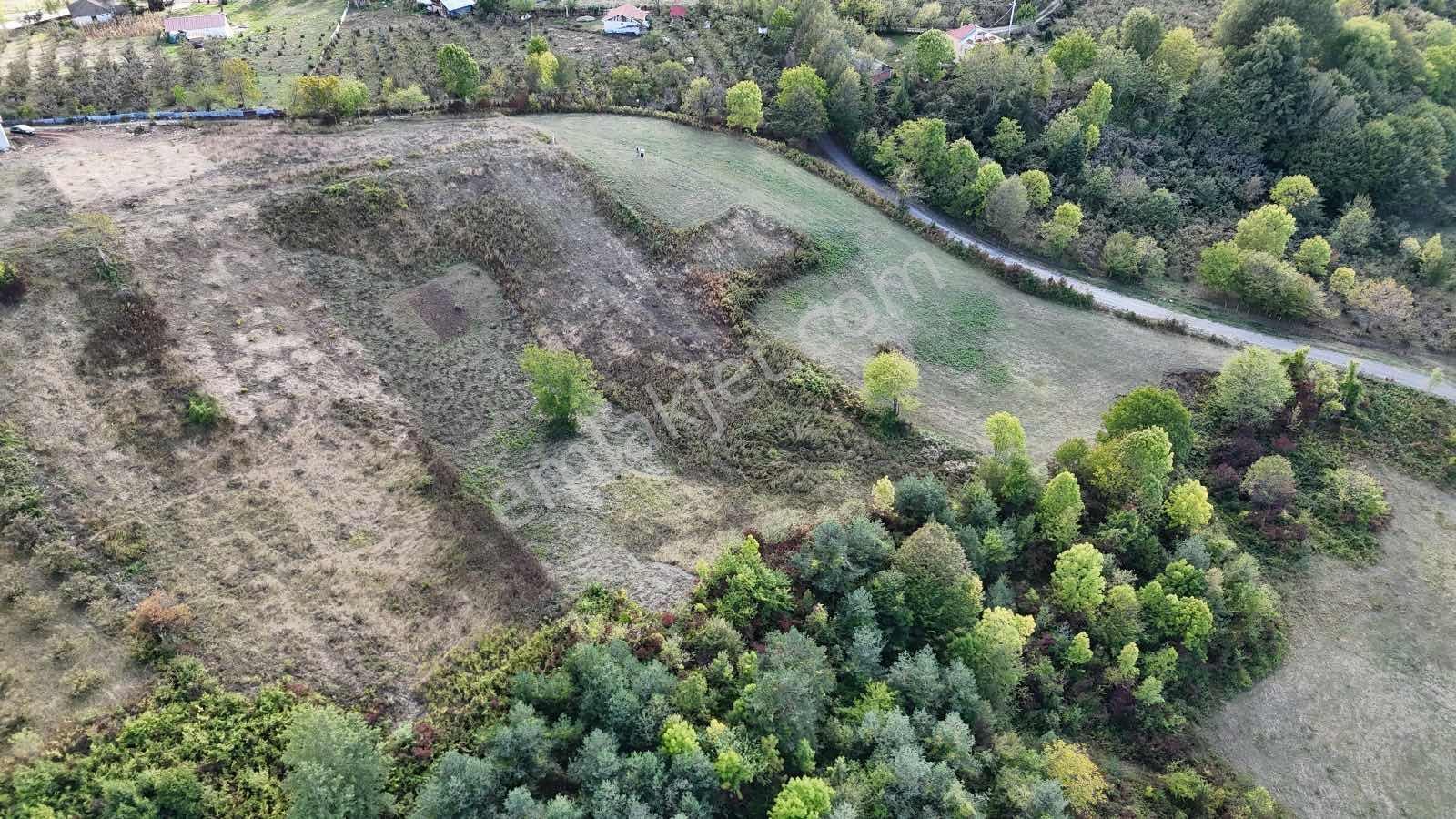 Ruşen Aydın Gyd'dan Kaynaşlı Muratbey'de Satılık Kupon Arazi - Görsel 6
