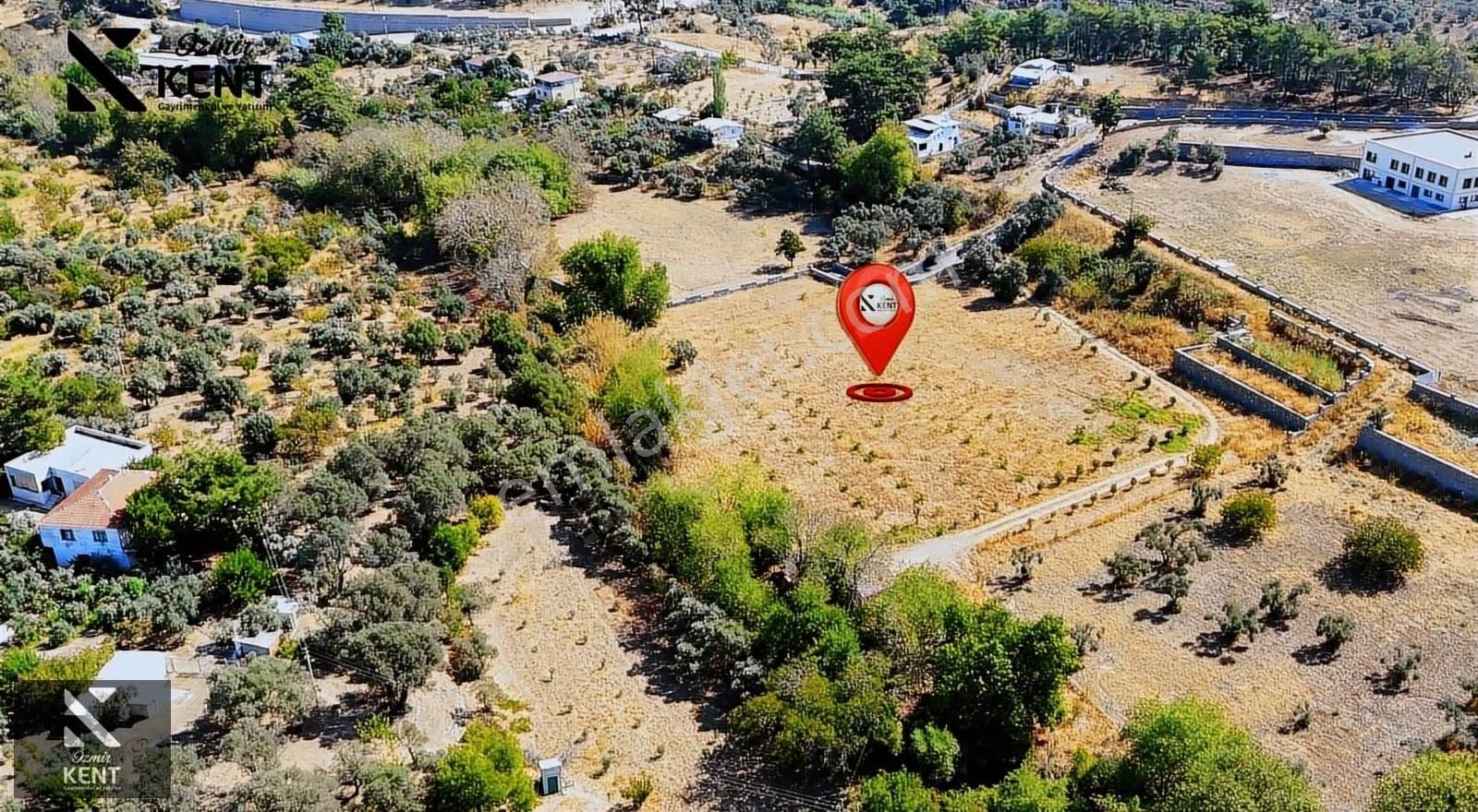 Kemalpaşa Nazarköy Satılık 9501 M2 Bahçe - Görsel 2
