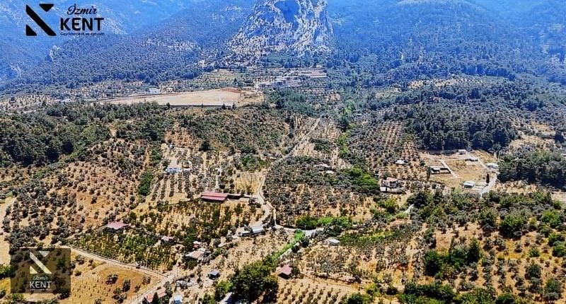 Kemalpaşa Yukarıkızılca Satılık 950 M2 Bahçe Tek Tapu - Görsel 10