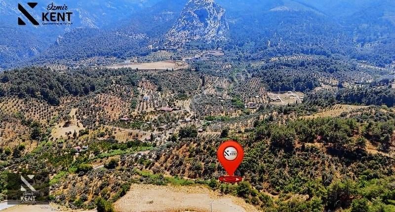 Kemalpaşa Yukarıkızılca Satılık 950 M2 Bahçe Tek Tapu - Görsel 2