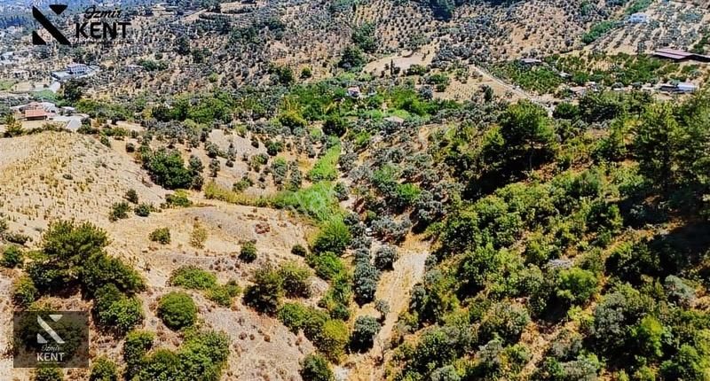 Kemalpaşa Yukarıkızılca Satılık 950 M2 Bahçe Tek Tapu - Görsel 11