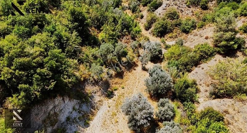 Kemalpaşa Yukarıkızılca Satılık 950 M2 Bahçe Tek Tapu - Görsel 9