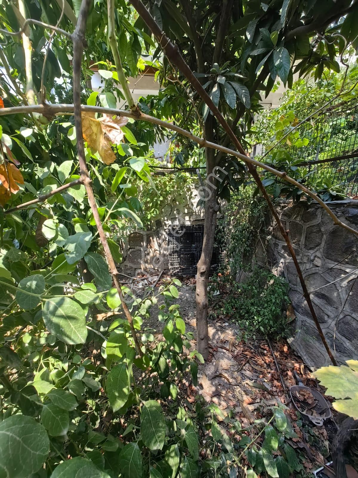 Evka3 Saraykent6 Çift Bahçeli Depolu 4katlı Ev - Görsel 3