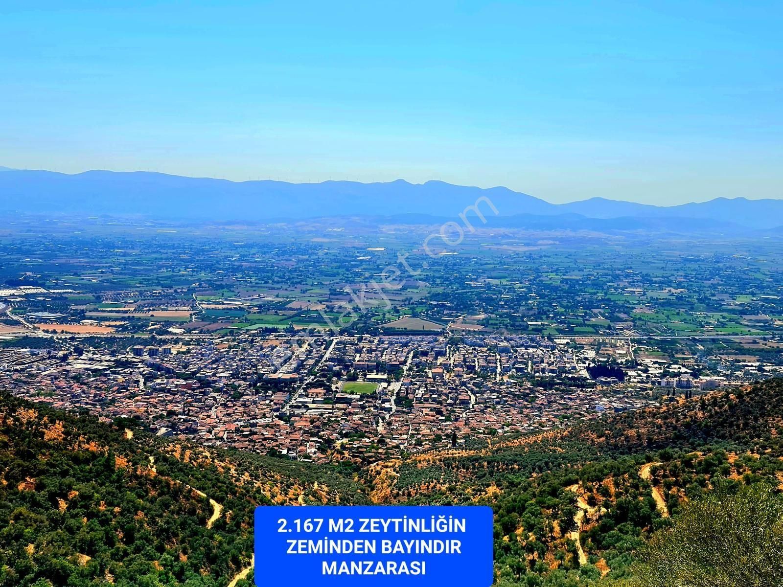 İzmir Bayındır Merkezde 2.167 M2 Ful Manzaralı Yatırımlık Zeytinlik. Açıklamayı Okuyunuz