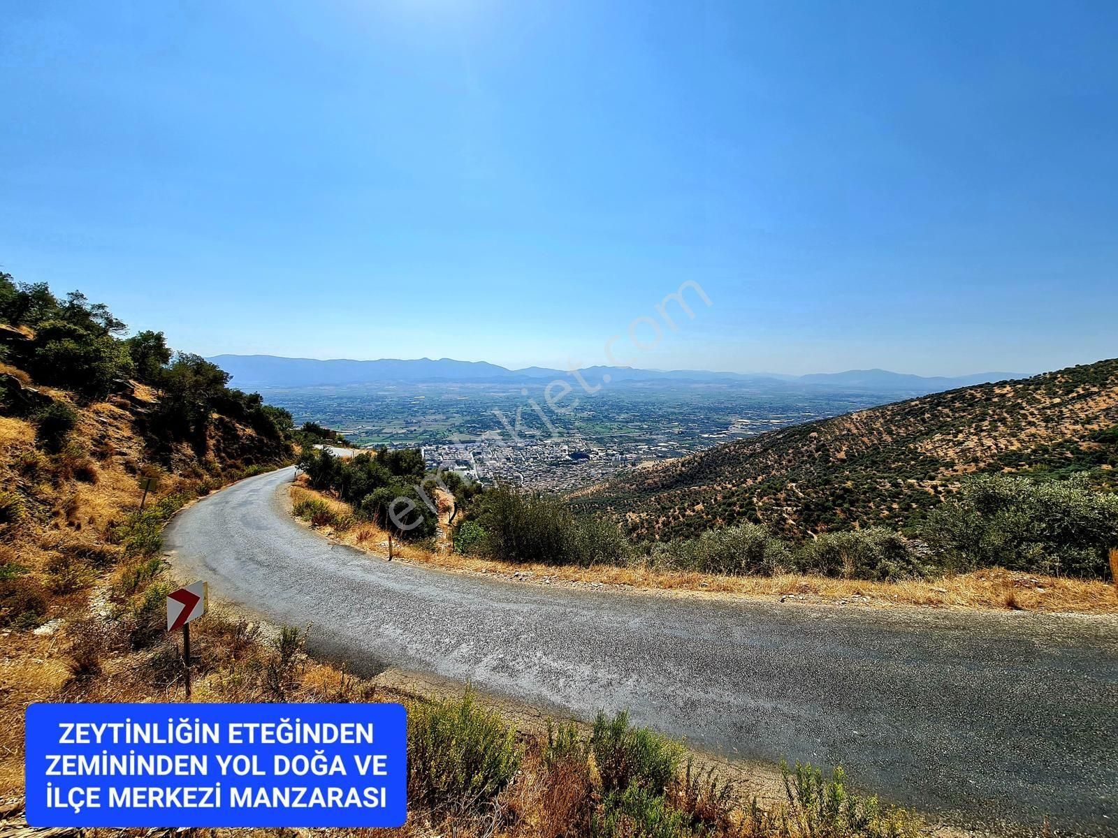 İzmir Bayındır Merkezde 2.167 M2 Ful Manzaralı Yatırımlık Zeytinlik. Açıklamayı Okuyunuz - Görsel 27