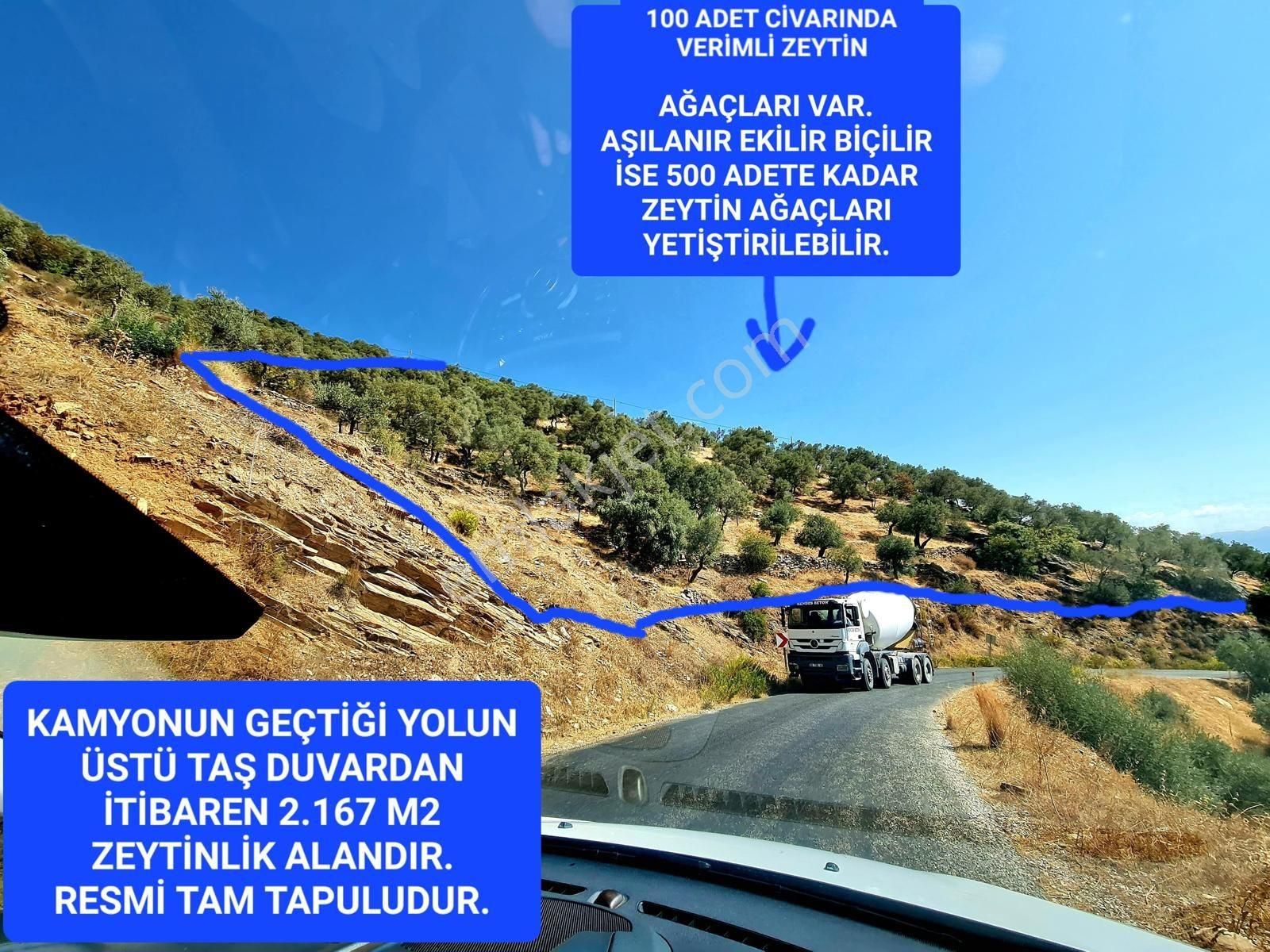 İzmir Bayındır Merkezde 2.167 M2 Ful Manzaralı Yatırımlık Zeytinlik. Açıklamayı Okuyunuz - Görsel 16