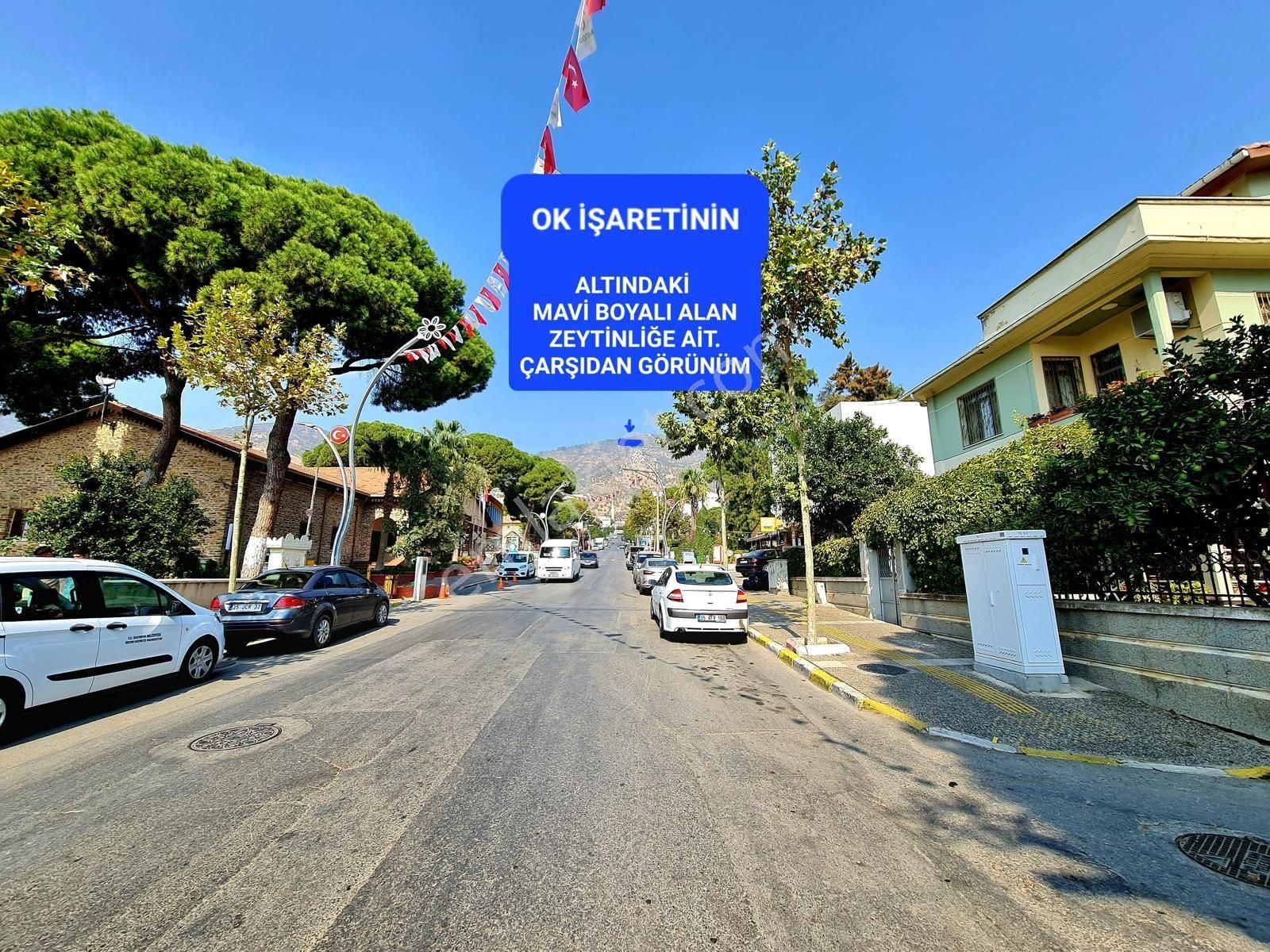 İzmir Bayındır Merkezde 2.167 M2 Ful Manzaralı Yatırımlık Zeytinlik. Açıklamayı Okuyunuz - Görsel 4