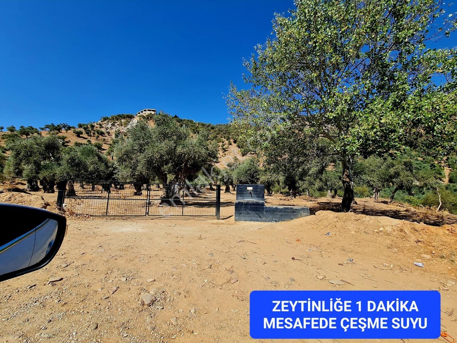 İzmir Bayındır Merkezde 2.167 M2 Ful Manzaralı Yatırımlık Zeytinlik. Açıklamayı Okuyunuz - Görsel 10