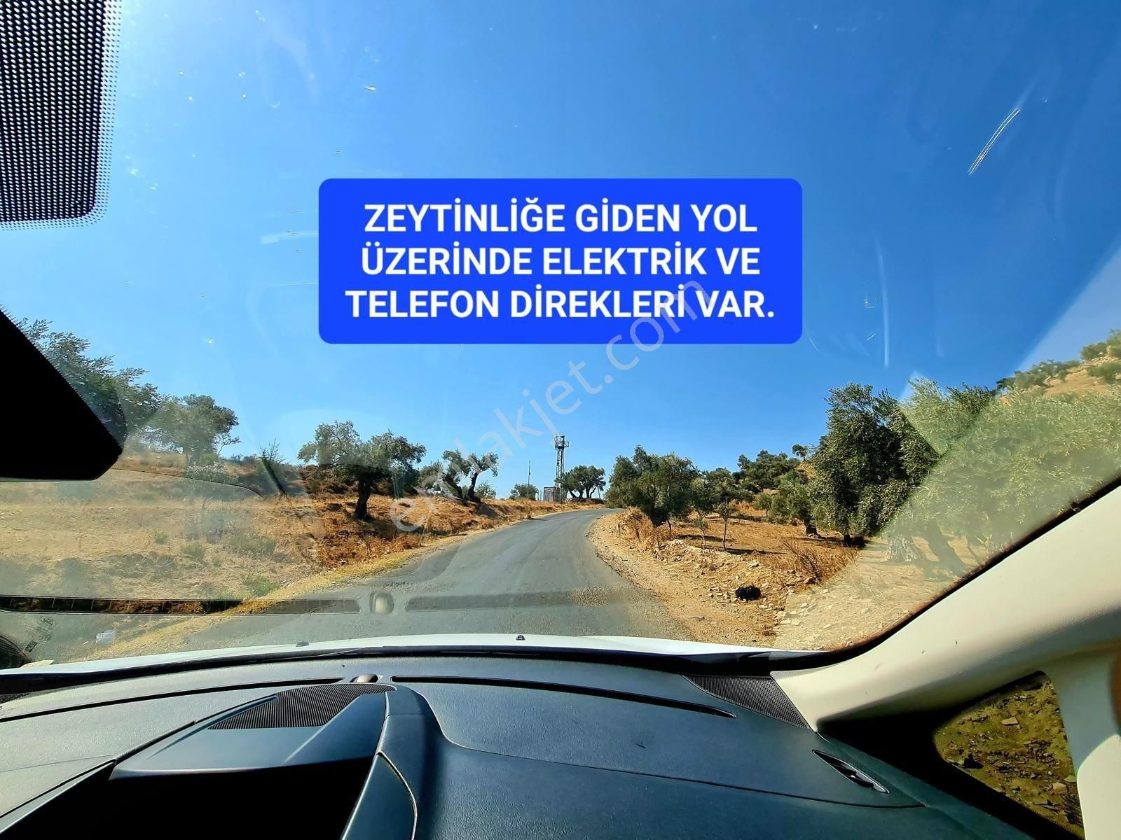 İzmir Bayındır Merkezde 2.167 M2 Ful Manzaralı Yatırımlık Zeytinlik. Açıklamayı Okuyunuz - Görsel 11