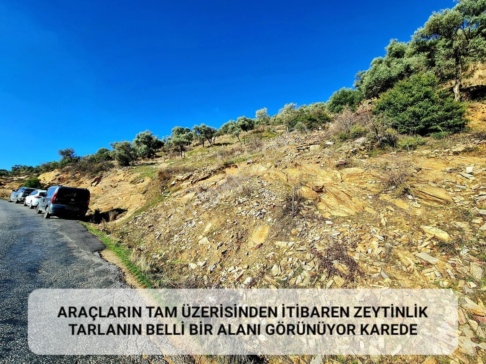 İzmir Bayındır Merkezde 2.167 M2 Ful Manzaralı Yatırımlık Zeytinlik. Açıklamayı Okuyunuz - Görsel 12