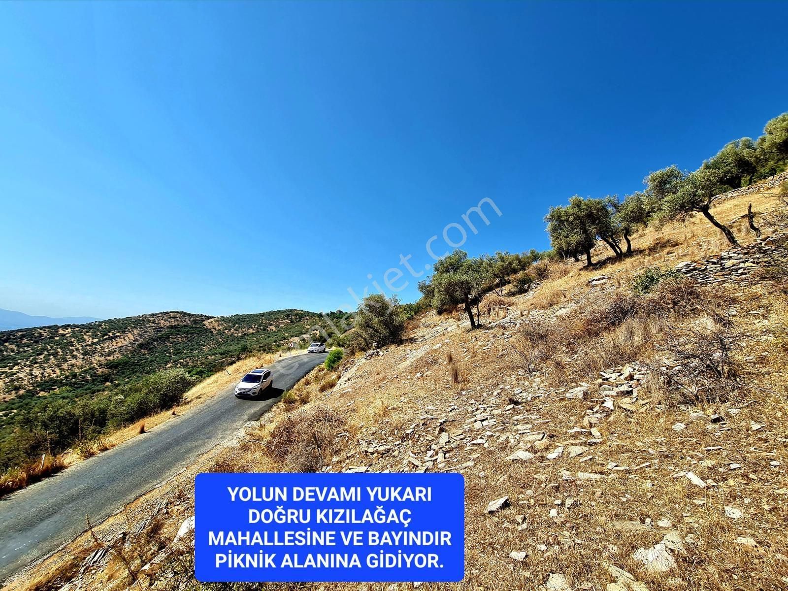 İzmir Bayındır Merkezde 2.167 M2 Ful Manzaralı Yatırımlık Zeytinlik. Açıklamayı Okuyunuz - Görsel 17