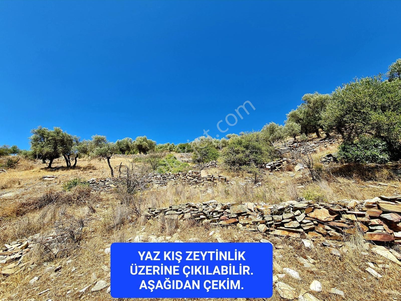 İzmir Bayındır Merkezde 2.167 M2 Ful Manzaralı Yatırımlık Zeytinlik. Açıklamayı Okuyunuz - Görsel 18