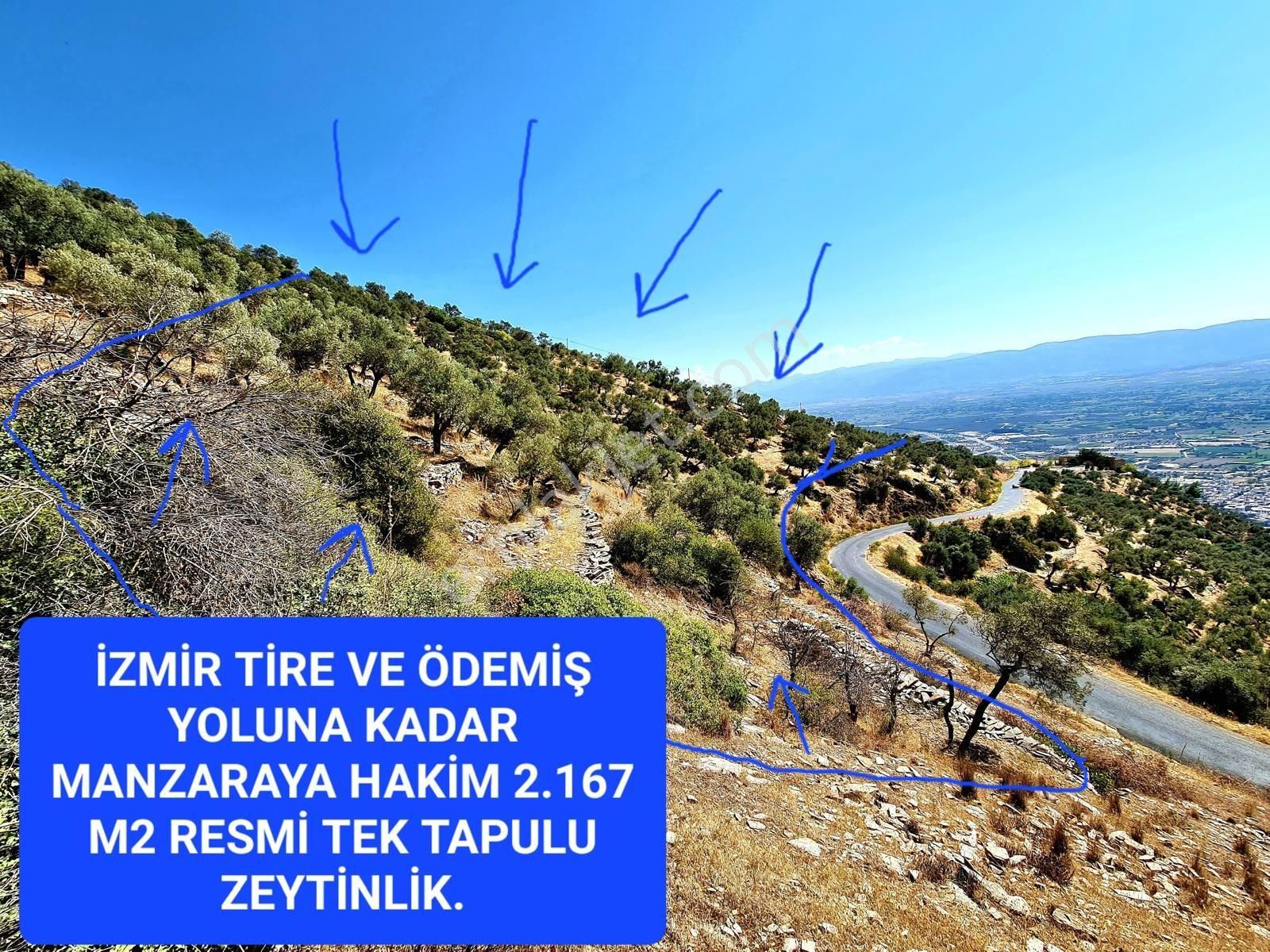 İzmir Bayındır Merkezde 2.167 M2 Ful Manzaralı Yatırımlık Zeytinlik. Açıklamayı Okuyunuz - Görsel 21