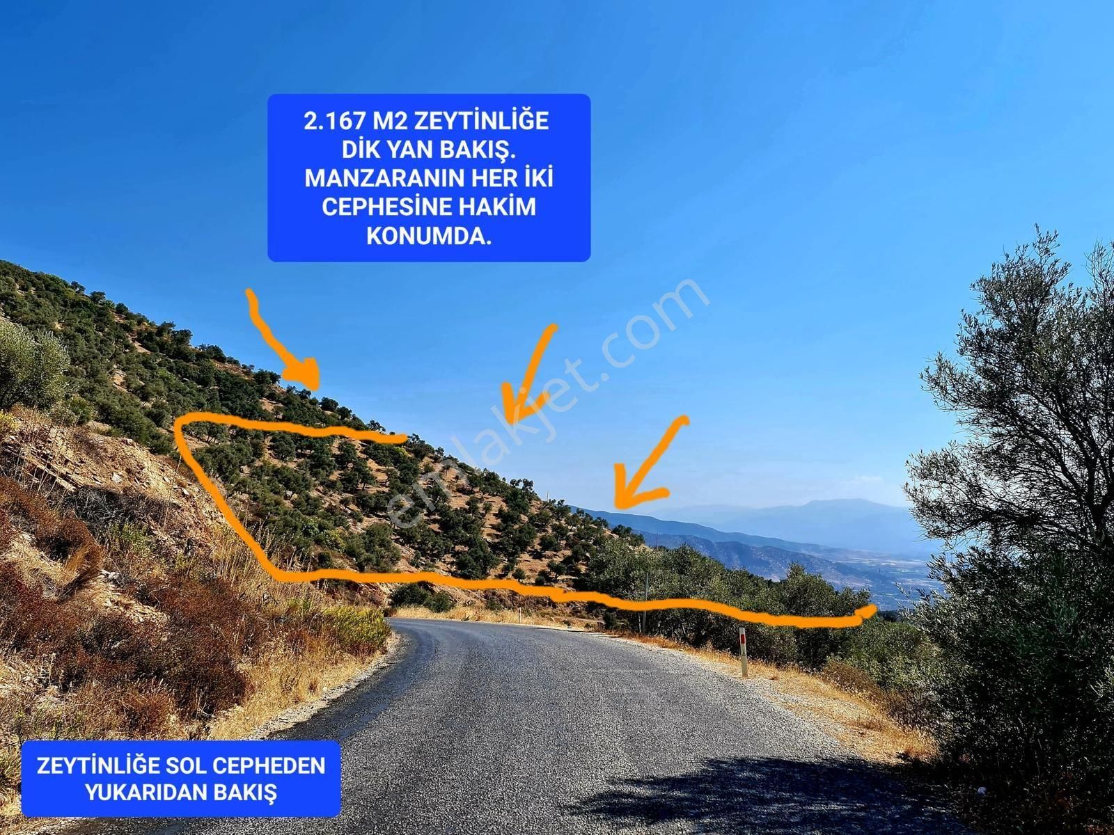 İzmir Bayındır Merkezde 2.167 M2 Ful Manzaralı Yatırımlık Zeytinlik. Açıklamayı Okuyunuz - Görsel 33