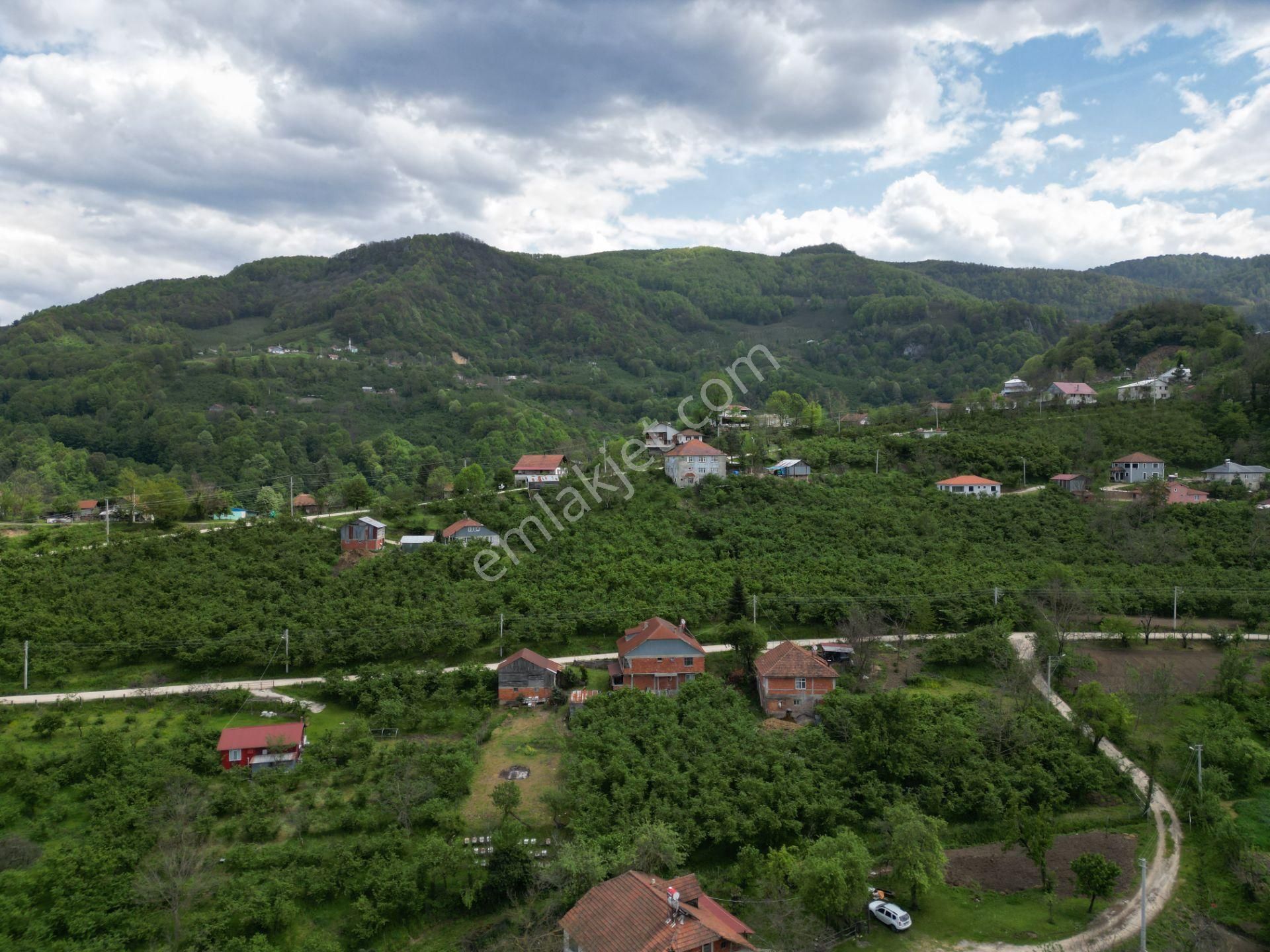 Aydın Emlak'tan Satılık Müstakil Bina 2 Kat2daire Boztepe/akyazı - Görsel 7