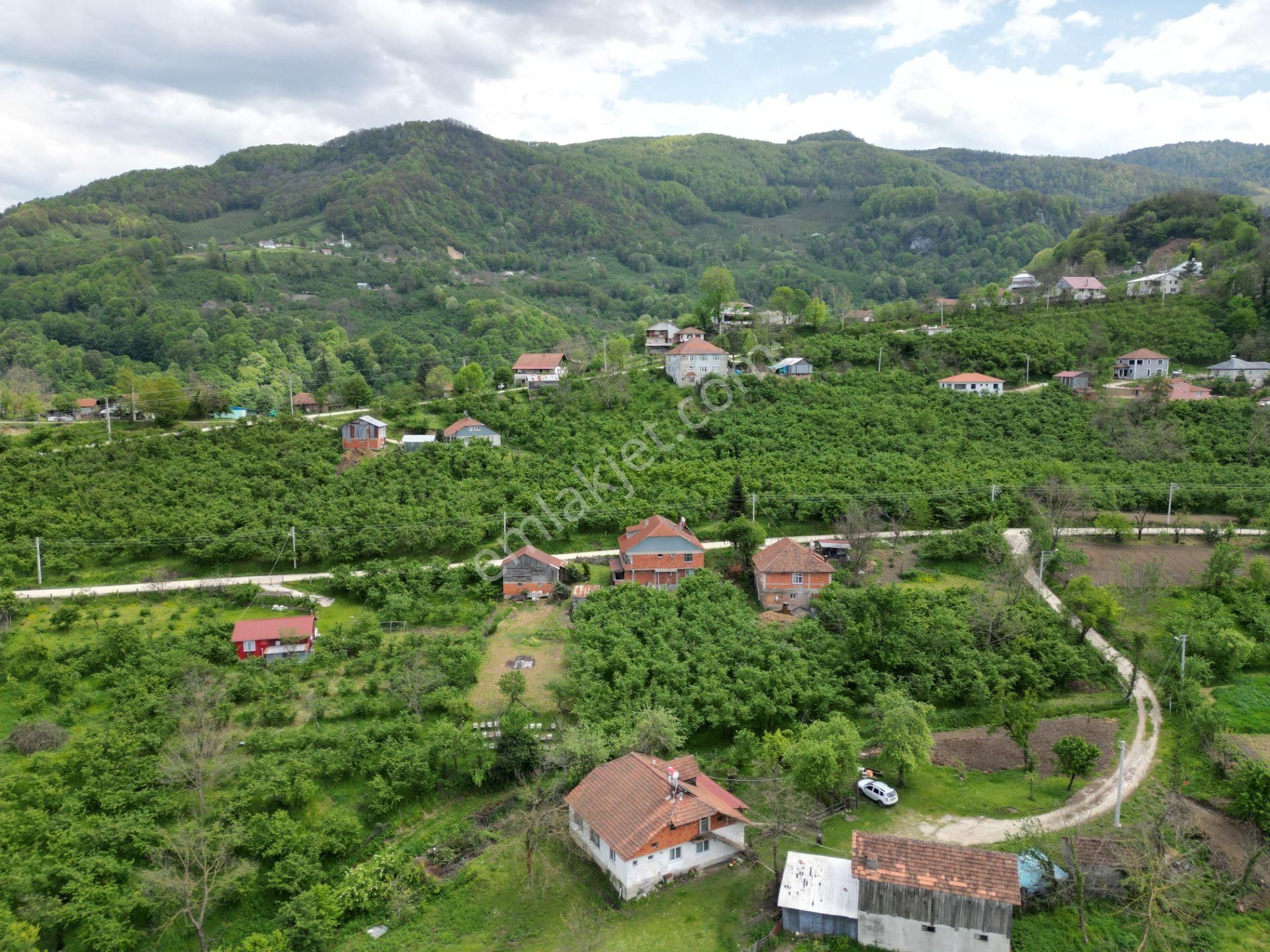 Aydın Emlak'tan Satılık Müstakil Bina 2 Kat2daire Boztepe/akyazı - Görsel 8