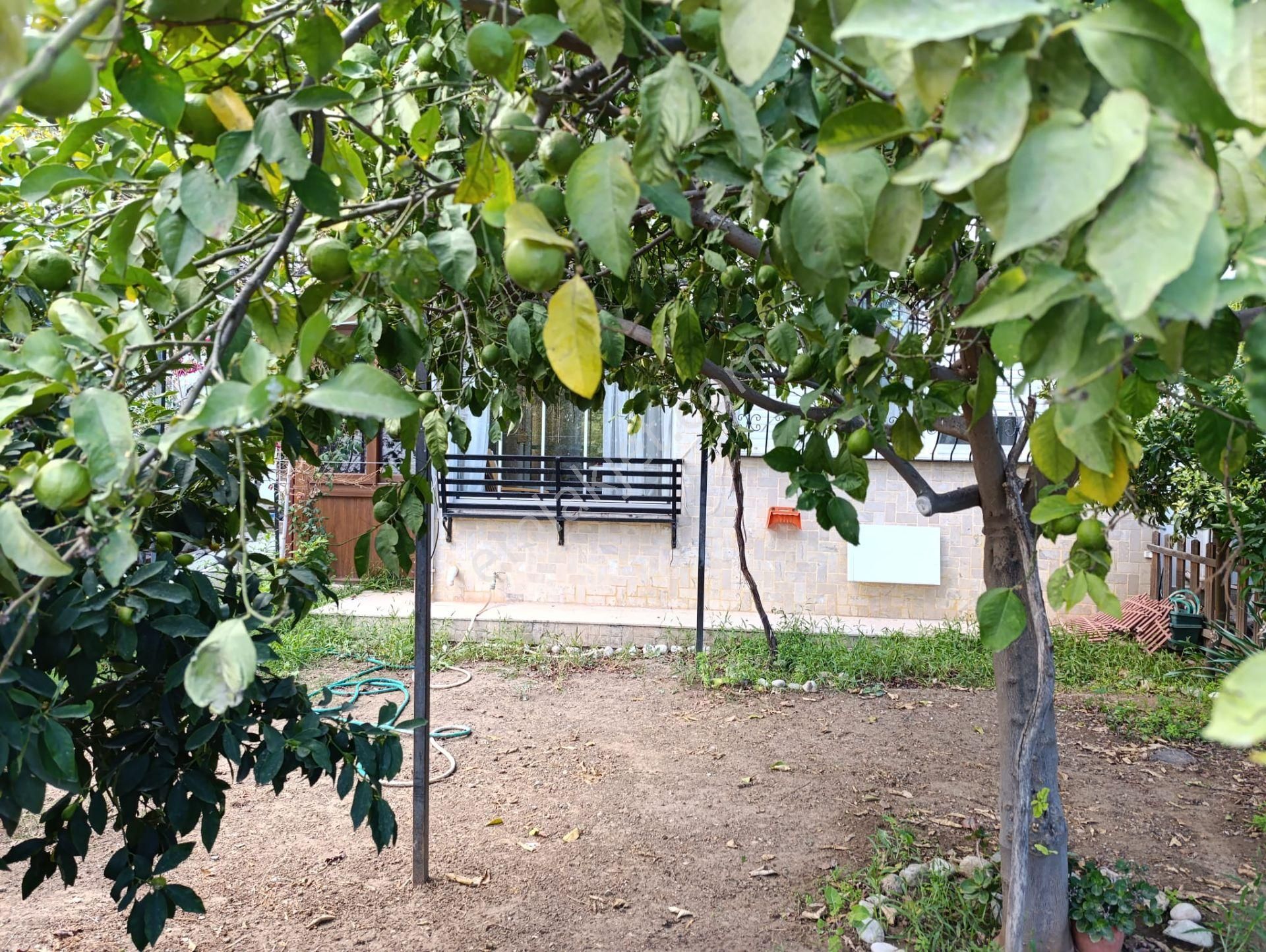 Datça'da Kiralık Denize 20m Eşyalı 2+1 Daire - Görsel 18