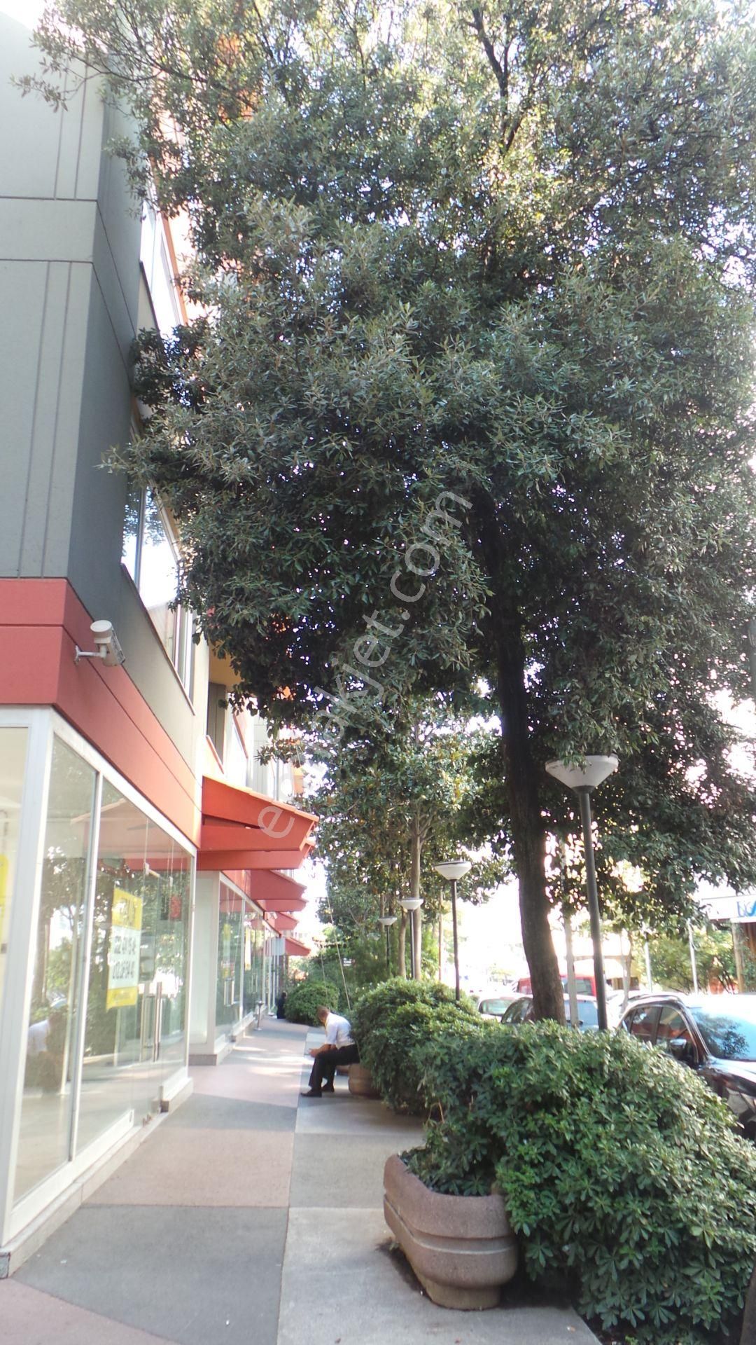 Mecidiyeköy Merkezde Çelik İşmerkezinde Kiralık Ofis 3+1 145 M2 - Görsel 32