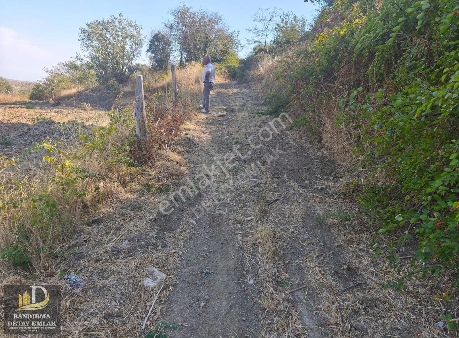 Bandırma Detay Emlaktan Çakıl Mahallesinde 785 M2 Köy İçi Tarla
