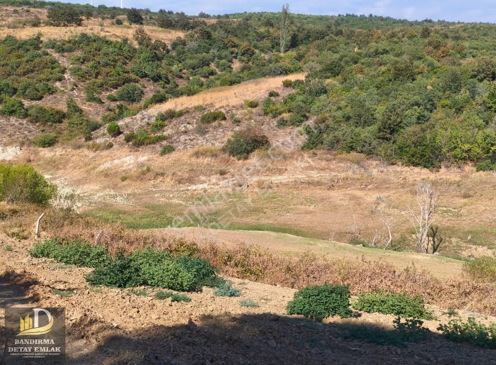 Bandırma Detay Emlaktan Çakıl Mahallesinde 785 M2 Köy İçi Tarla - Görsel 2