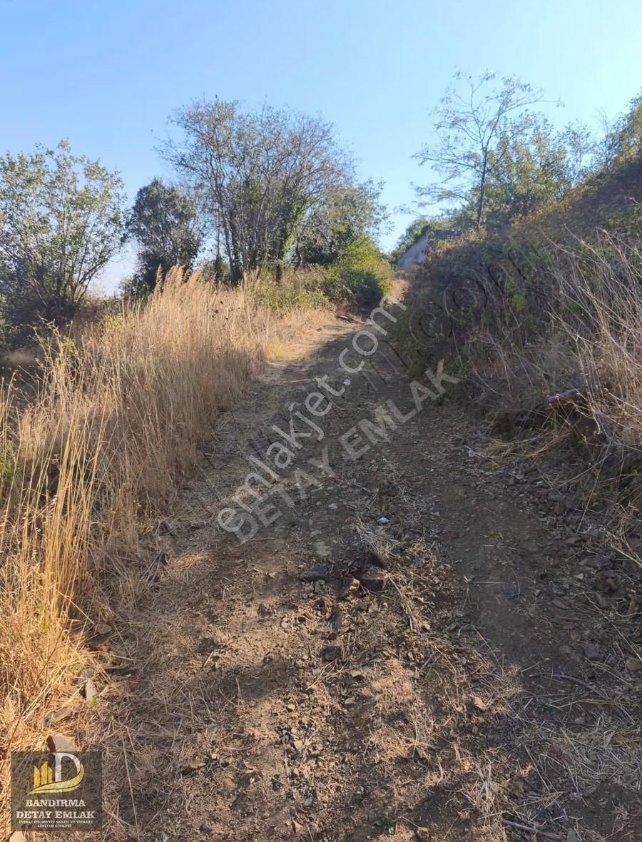 Bandırma Detay Emlaktan Çakıl Mahallesinde 785 M2 Köy İçi Tarla - Görsel 5