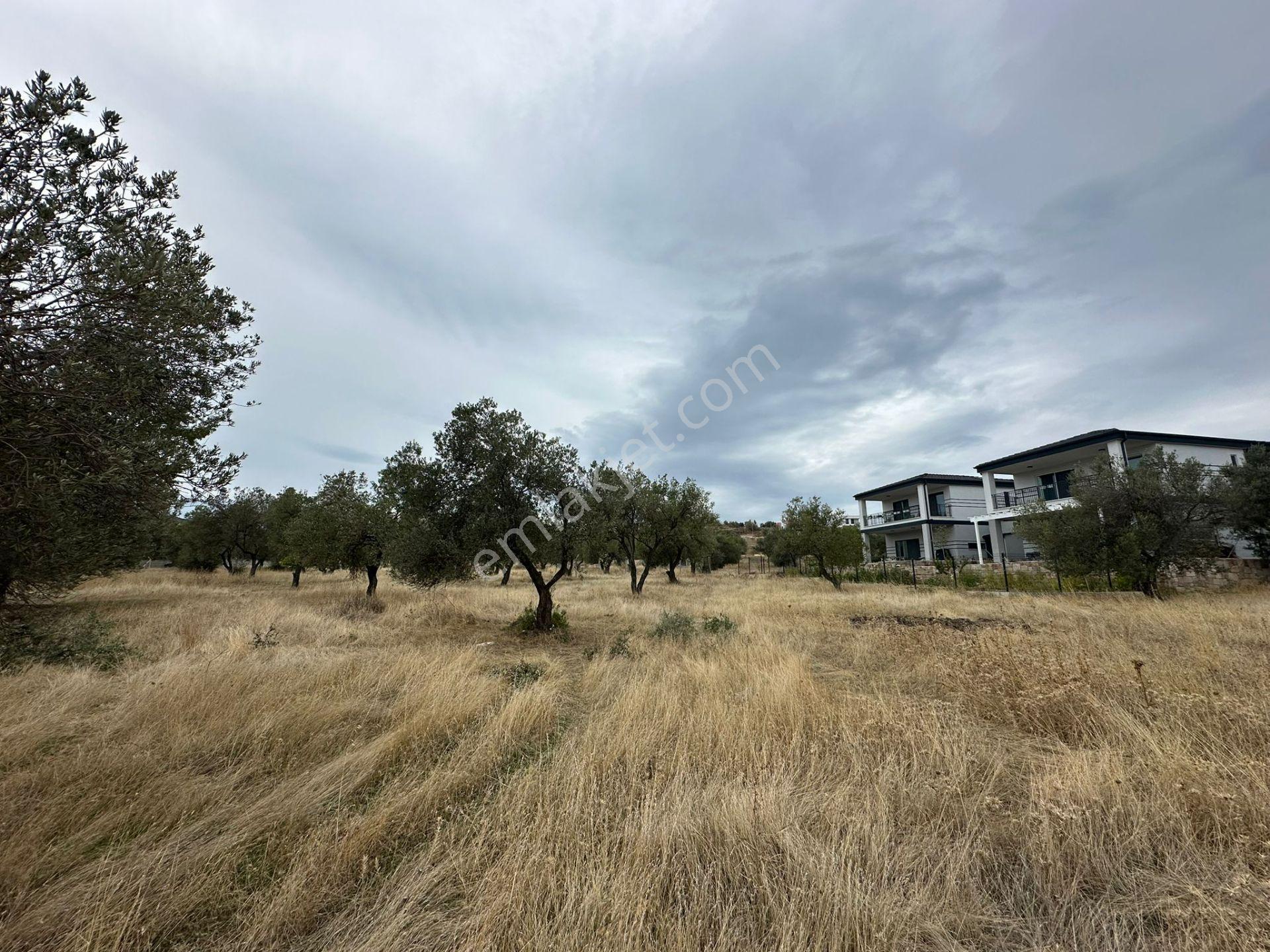 Karaağaç'ta Fırsat 900 M2 Villa İmarlı Arsa, 270 M2 İnşaat Hakkı! - Görsel 3