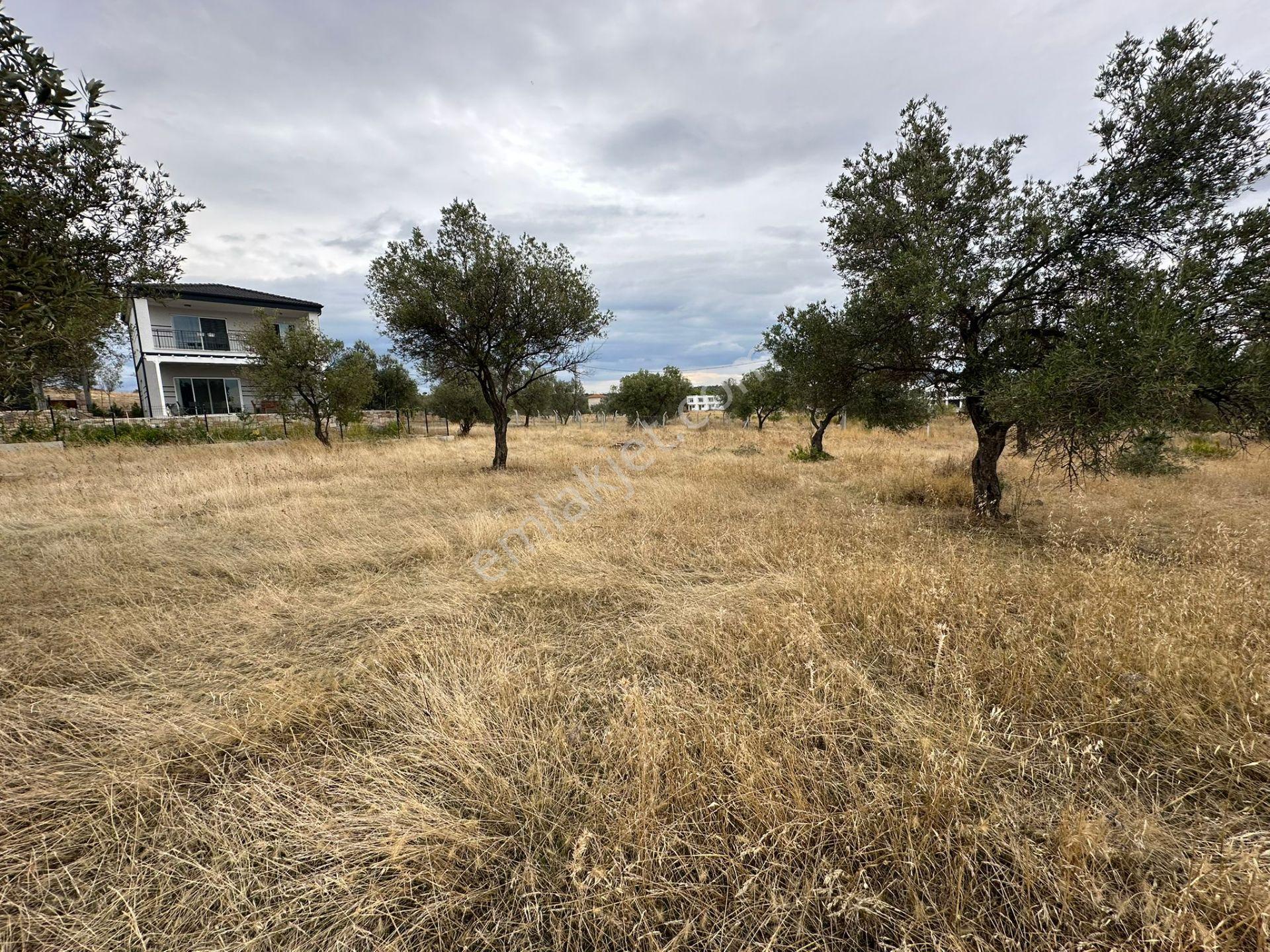 Karaağaç'ta Fırsat 900 M2 Villa İmarlı Arsa, 270 M2 İnşaat Hakkı! - Görsel 7
