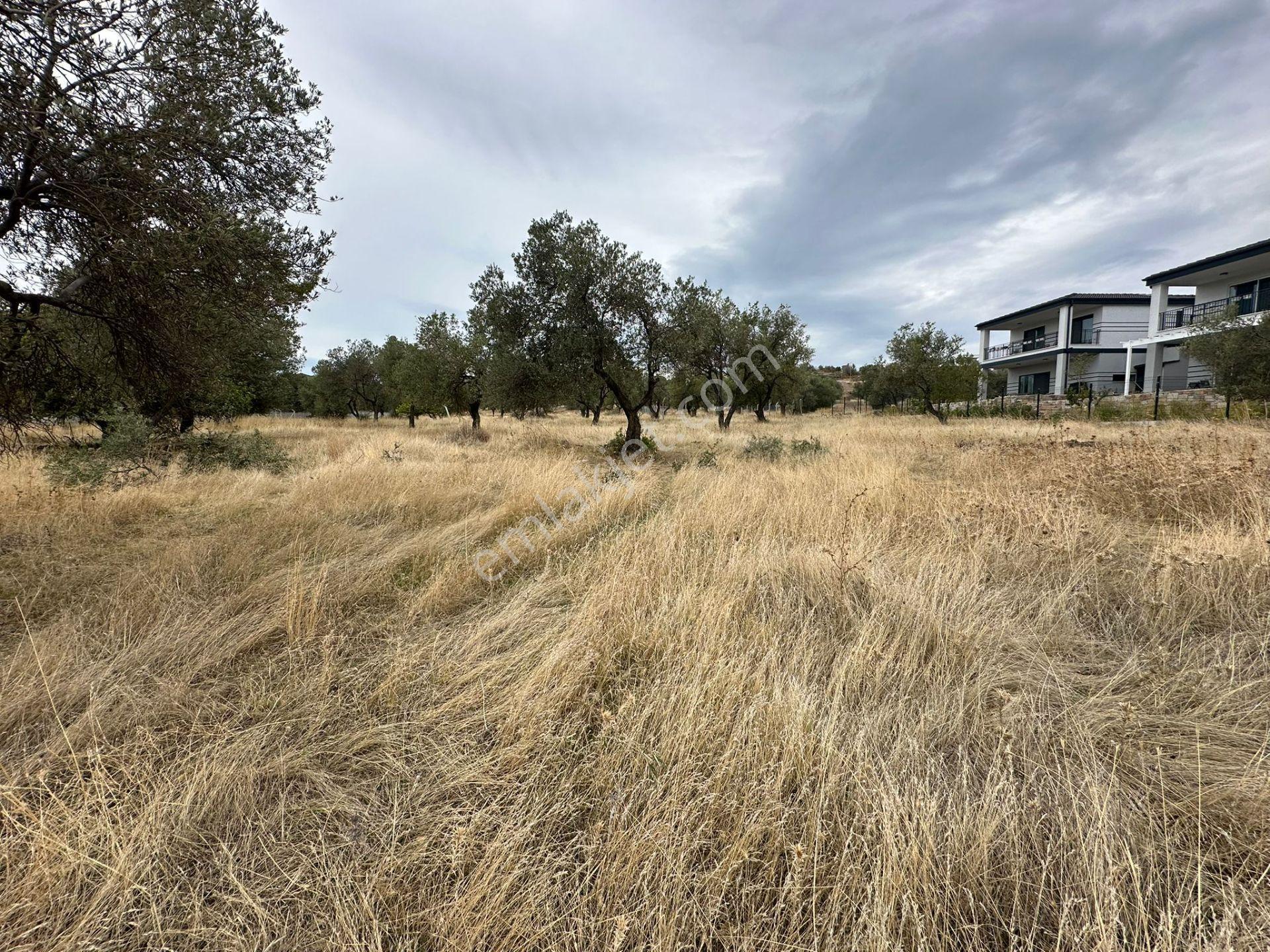 Karaağaç'ta Fırsat 900 M2 Villa İmarlı Arsa, 270 M2 İnşaat Hakkı! - Görsel 2