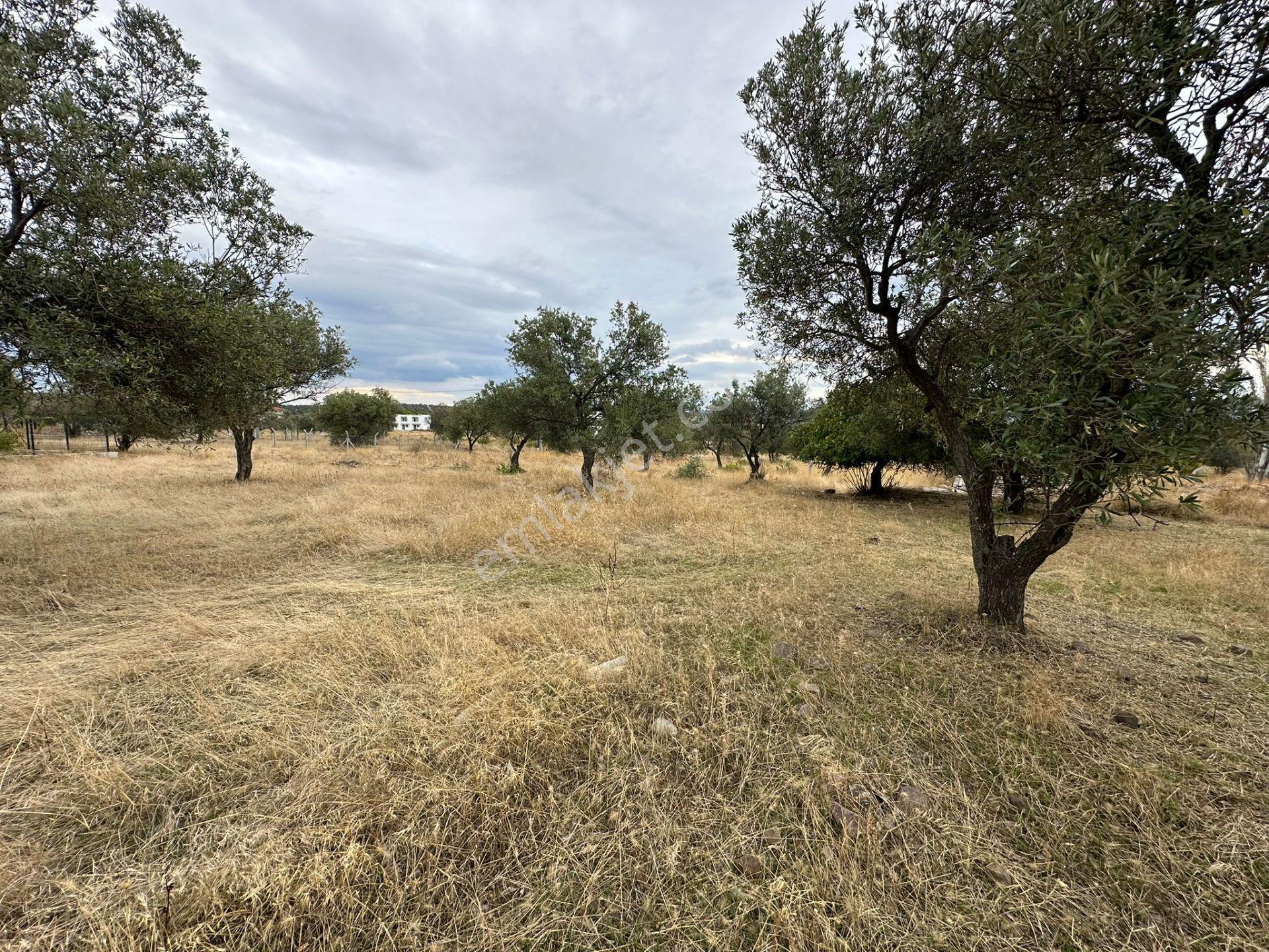 Karaağaç'ta Fırsat 900 M2 Villa İmarlı Arsa, 270 M2 İnşaat Hakkı! - Görsel 10