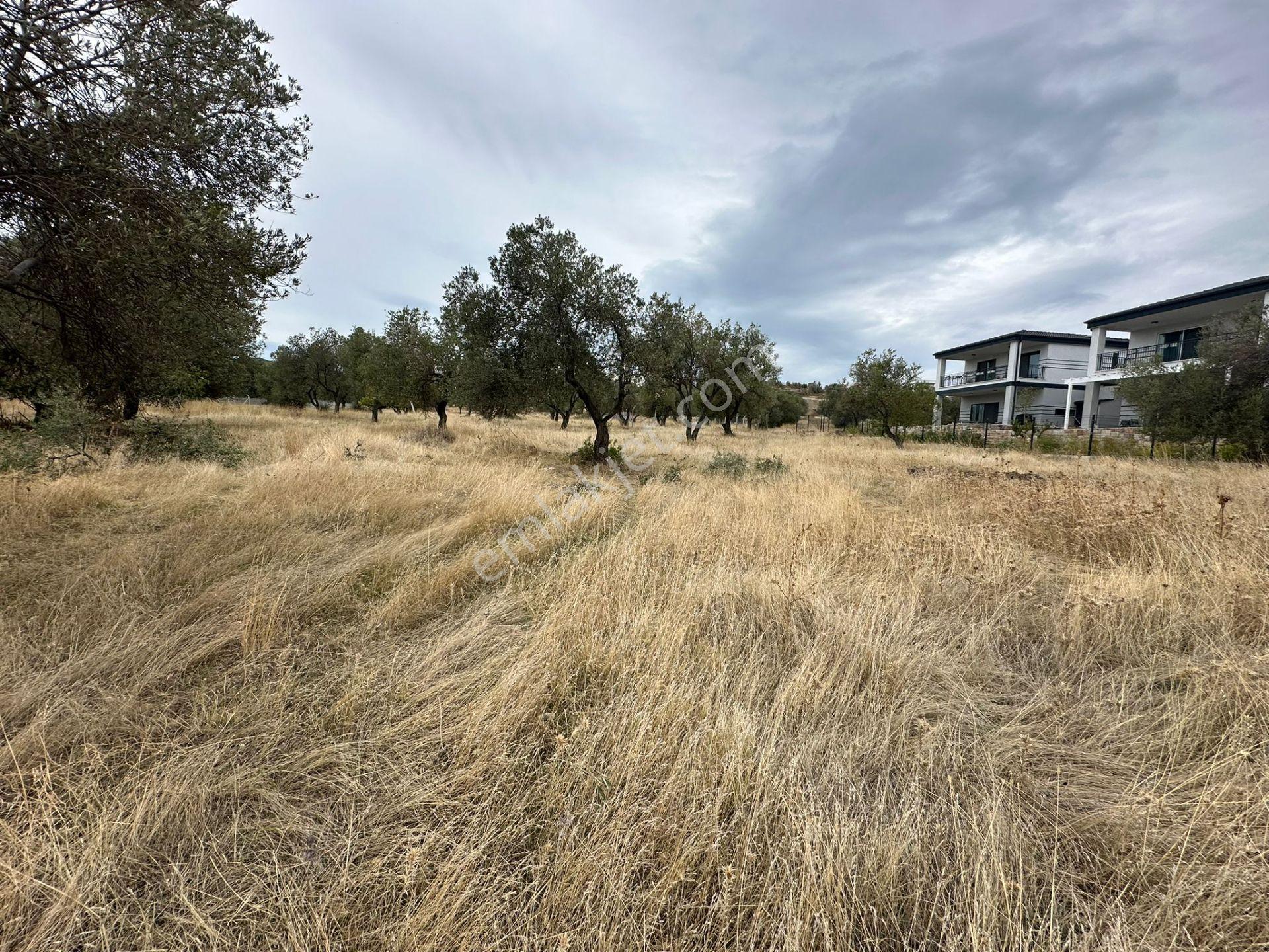 Karaağaç'ta Fırsat 900 M2 Villa İmarlı Arsa, 270 M2 İnşaat Hakkı! - Görsel 6