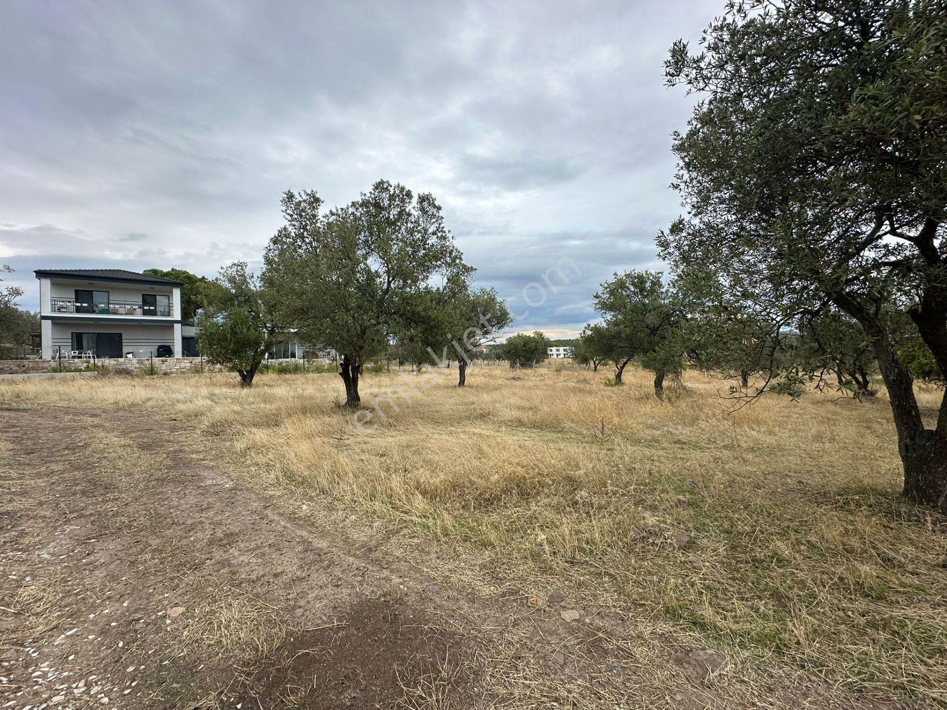 Karaağaç'ta Fırsat 900 M2 Villa İmarlı Arsa, 270 M2 İnşaat Hakkı! - Görsel 12