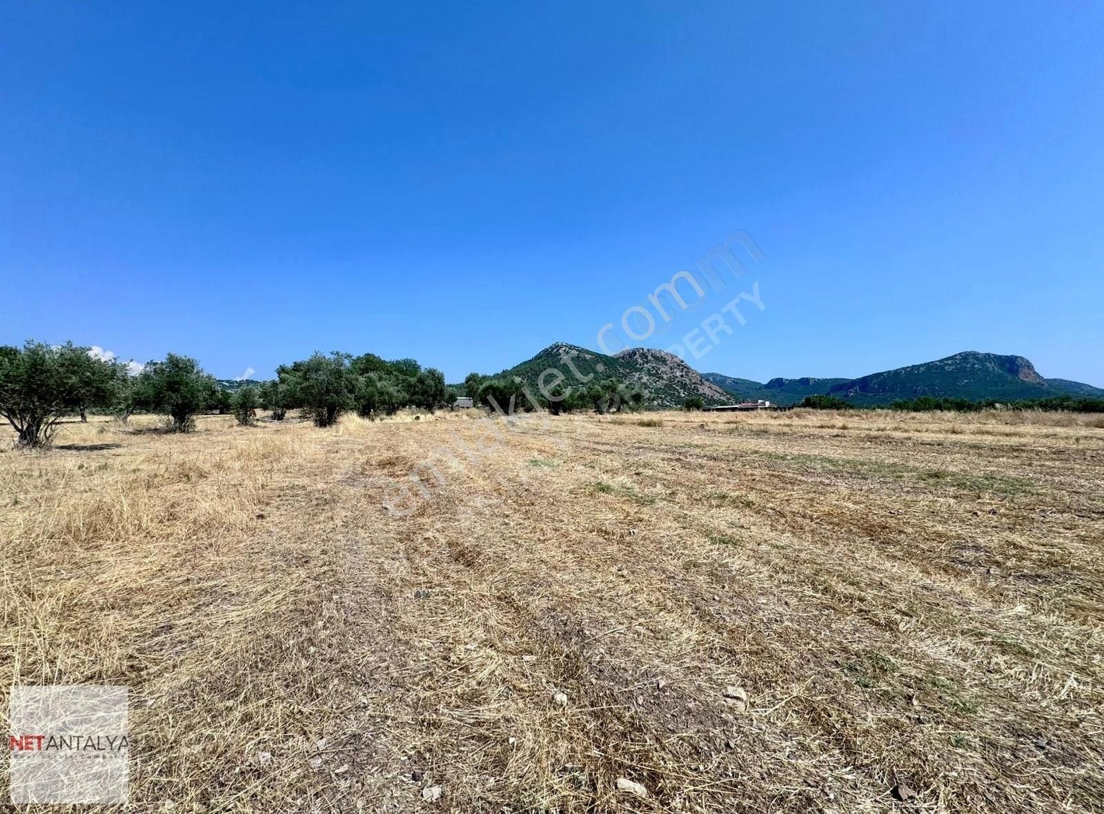 Döşemealtı Killik'te Tek Tapu 1258 M² Satılık Arazi │net Antalya - Görsel 11