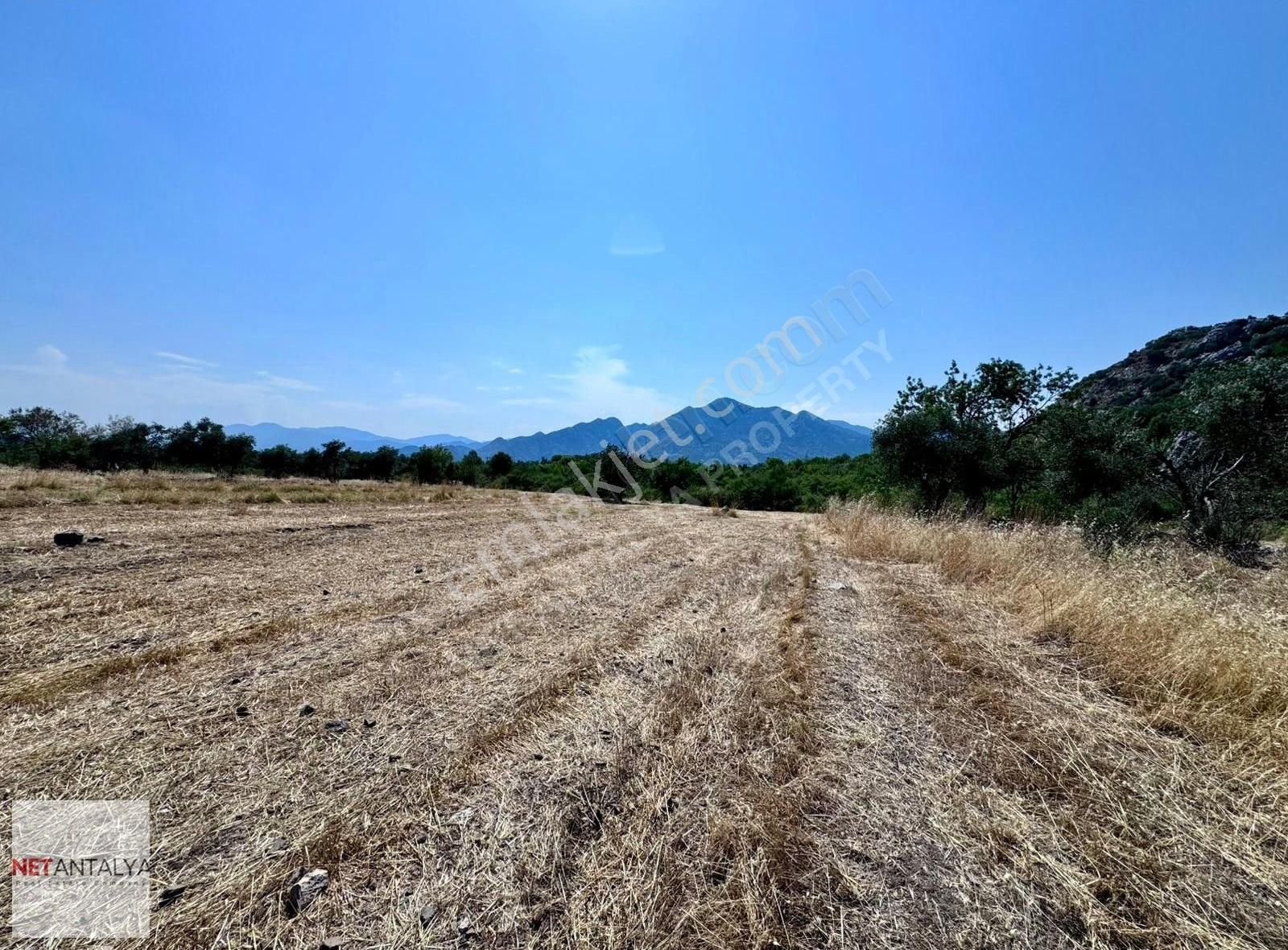 Döşemealtı Killik'te Tek Tapu 1258 M² Satılık Arazi │net Antalya - Görsel 4