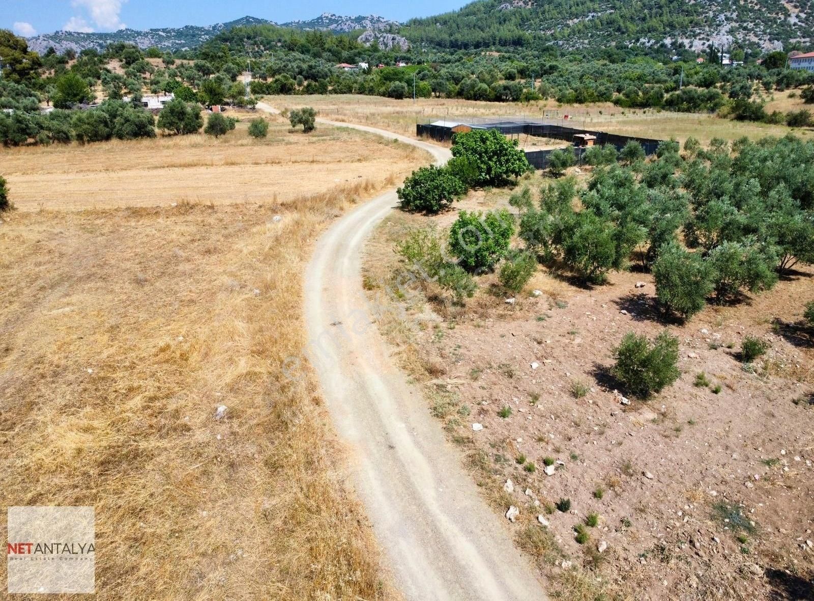 Döşemealtı Killik'te Tek Tapu 1258 M² Satılık Arazi │net Antalya - Görsel 15