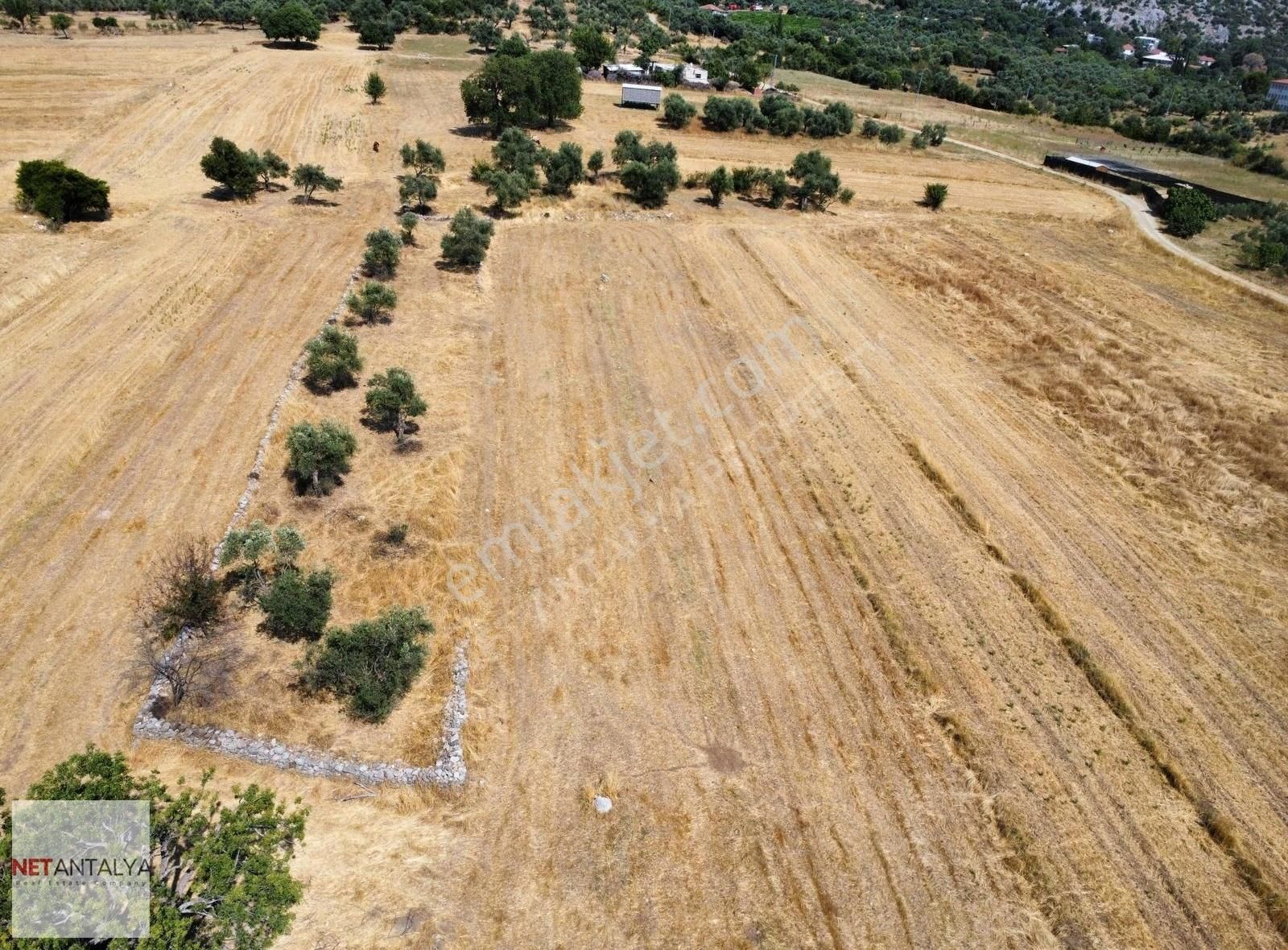Döşemealtı Killik'te Tek Tapu 1258 M² Satılık Arazi │net Antalya - Görsel 13
