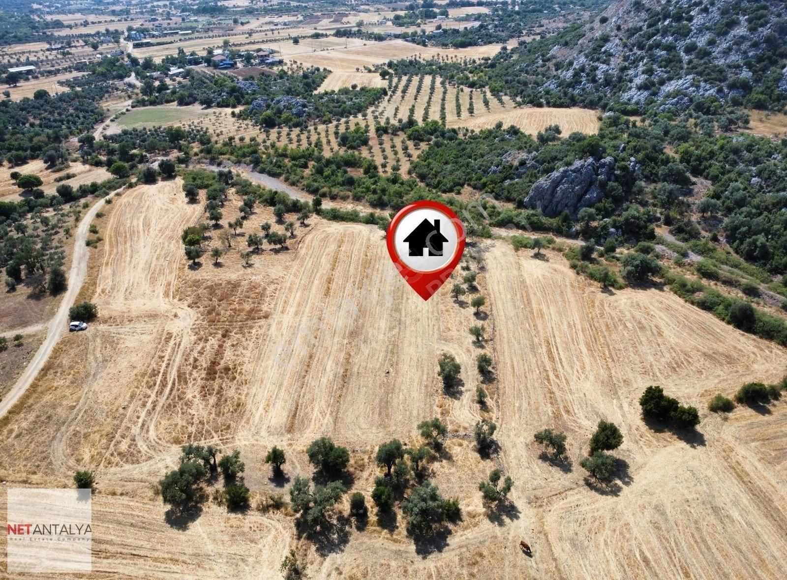 Döşemealtı Killik'te Tek Tapu 1258 M² Satılık Arazi │net Antalya - Görsel 7